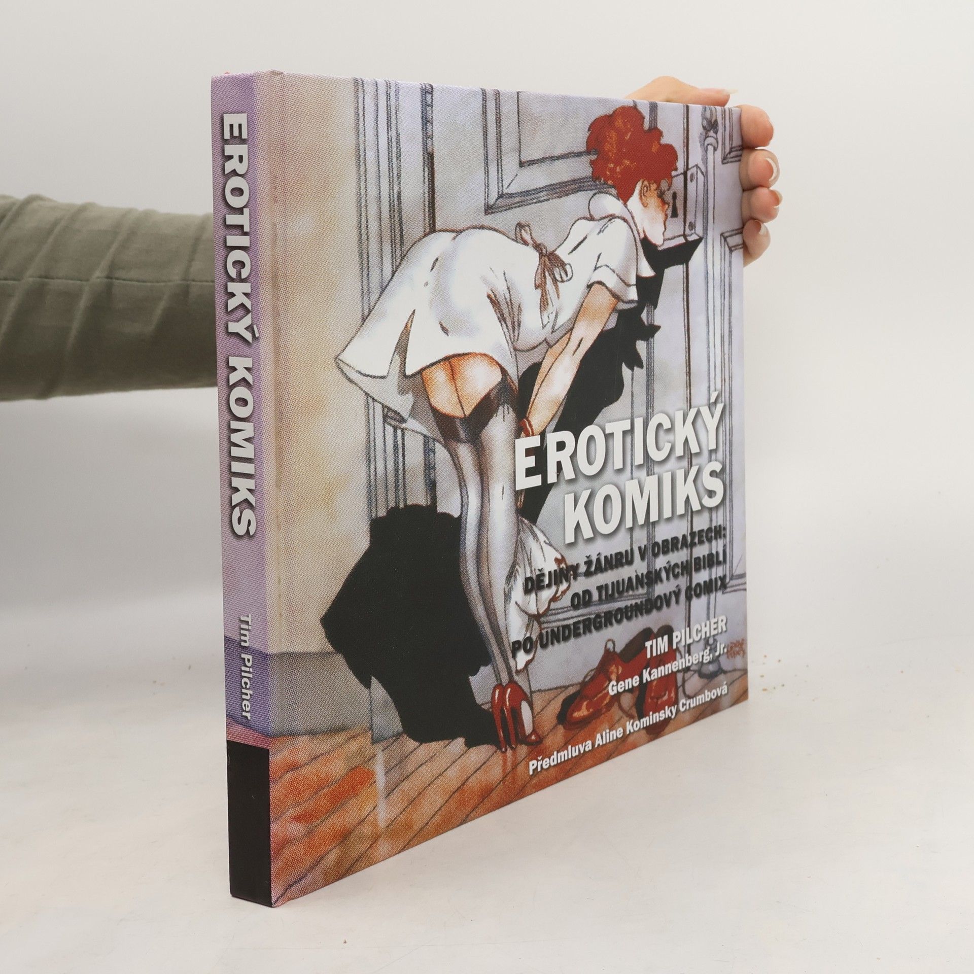 Tim Pilcher Erotický komiks: Dějiny žánru v obrazech