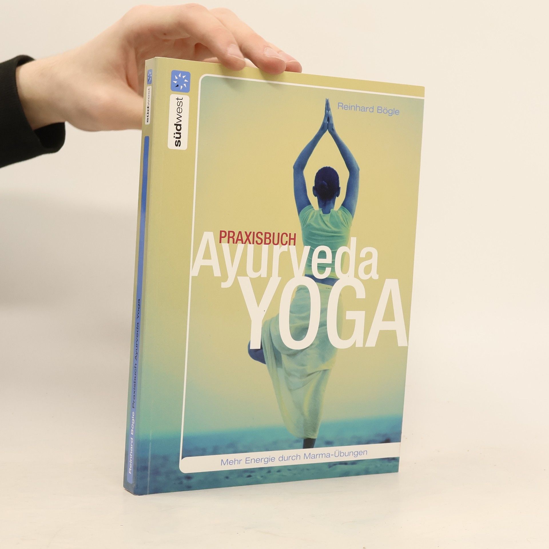 Reinhard Bögle Praxisbuch Ayurveda-Yoga