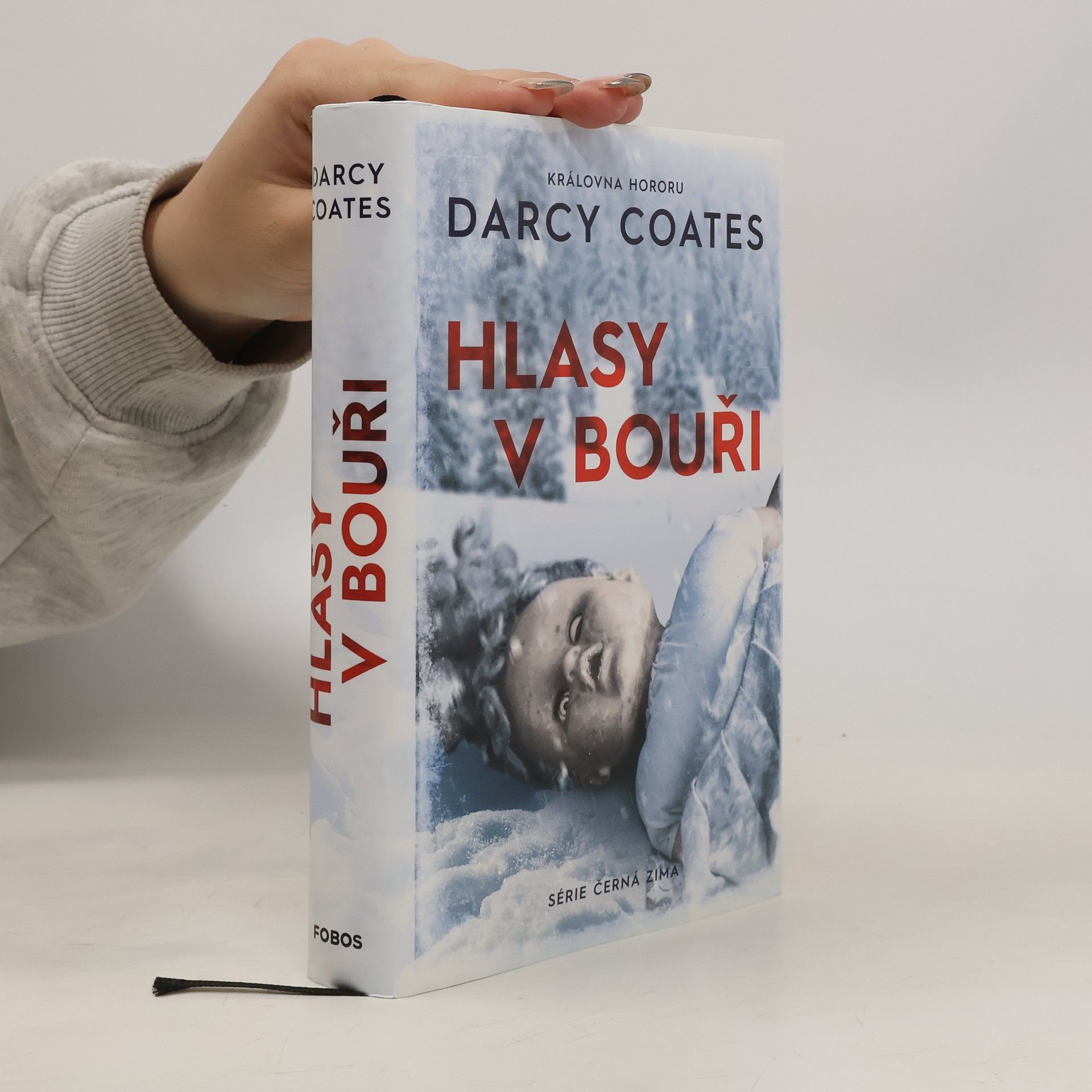 Darcy Coates Hlasy v bouři