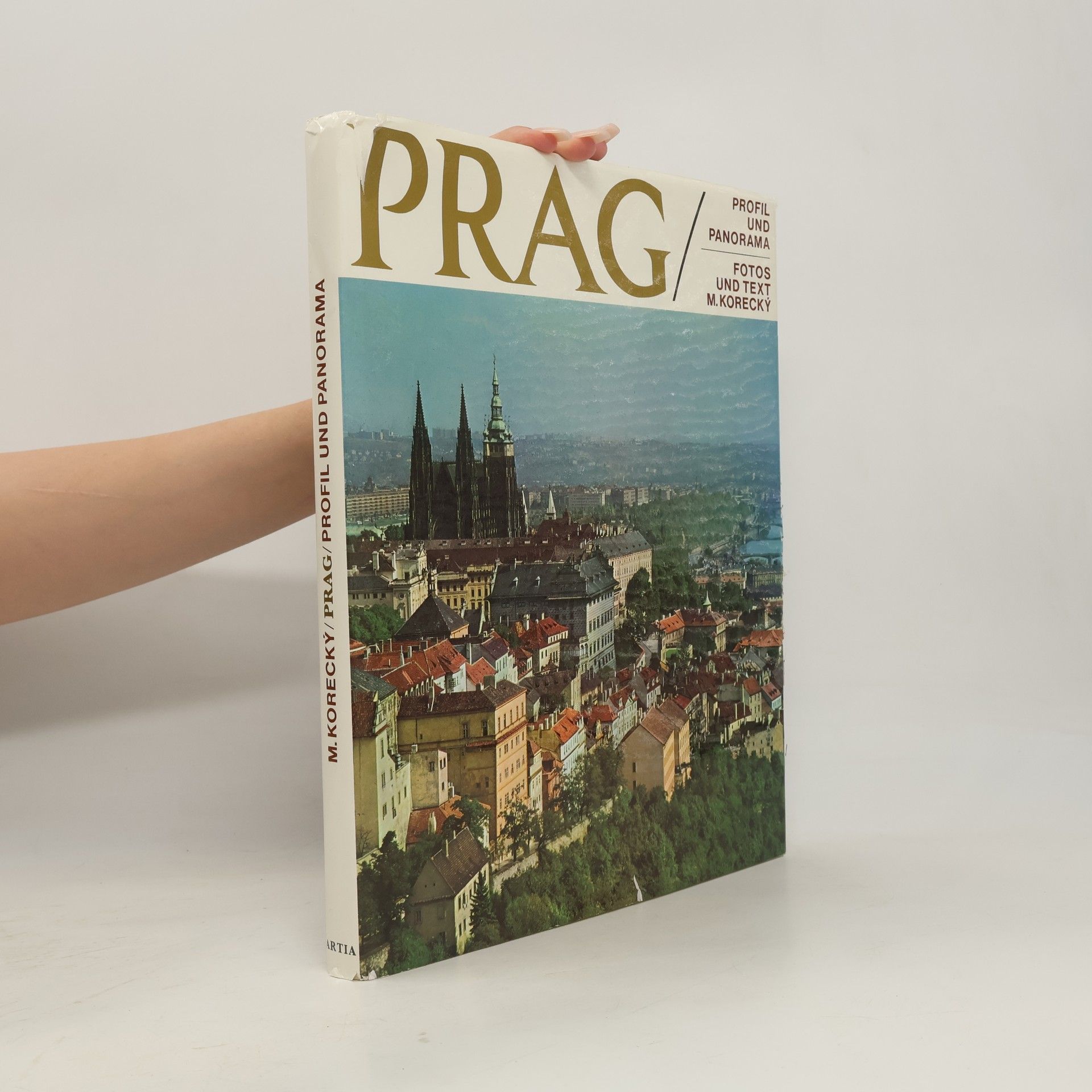 Prag. Profil und Panorama
