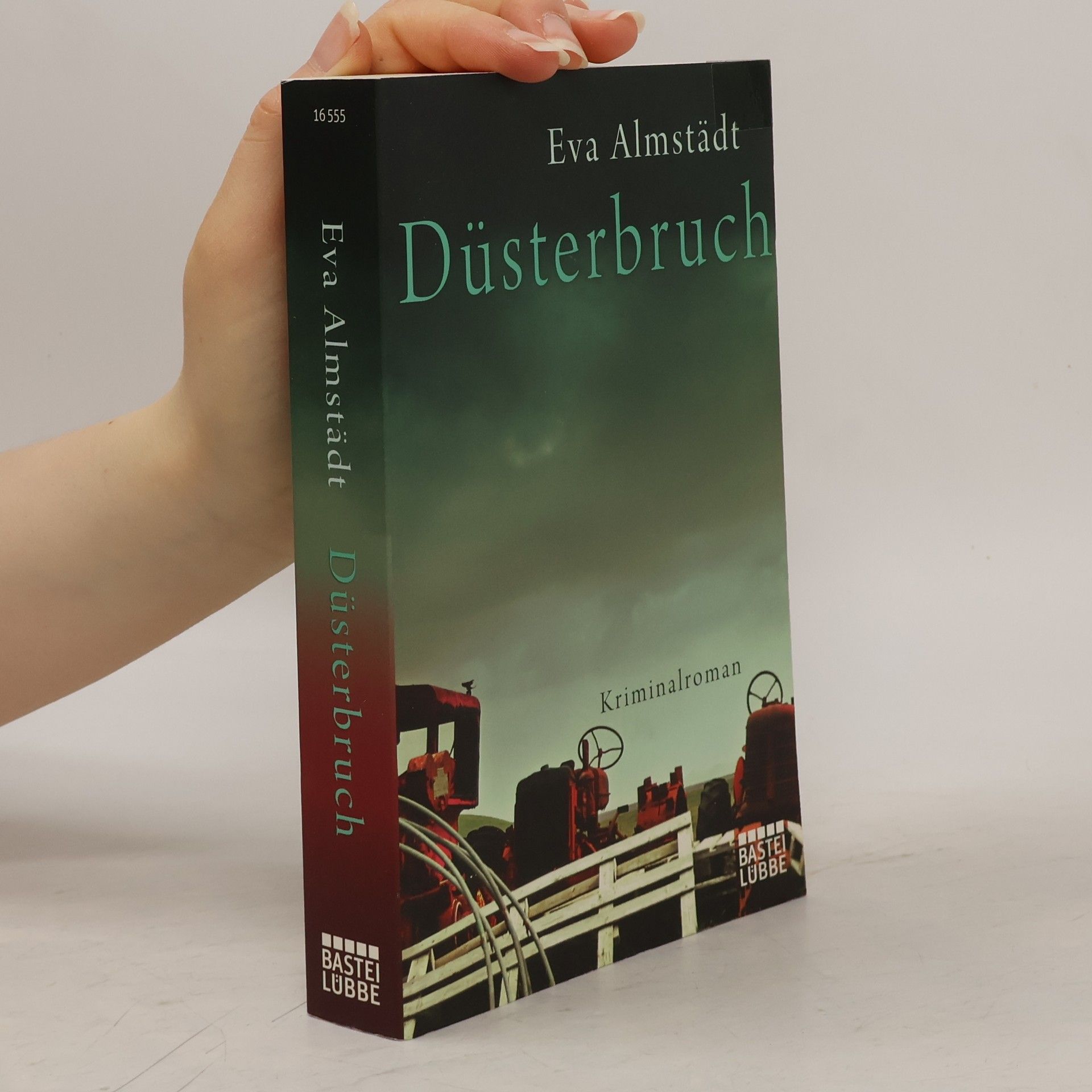 Eva Almstädt Düsterbruch