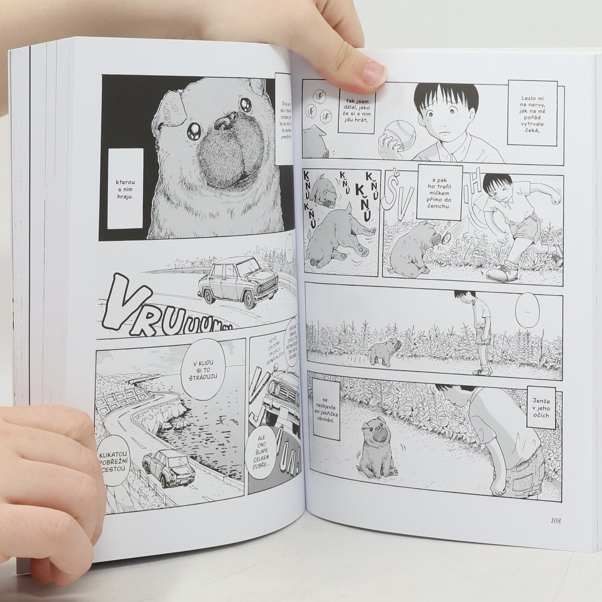 Takaši Murakami Pes, který strážil hvězdy
