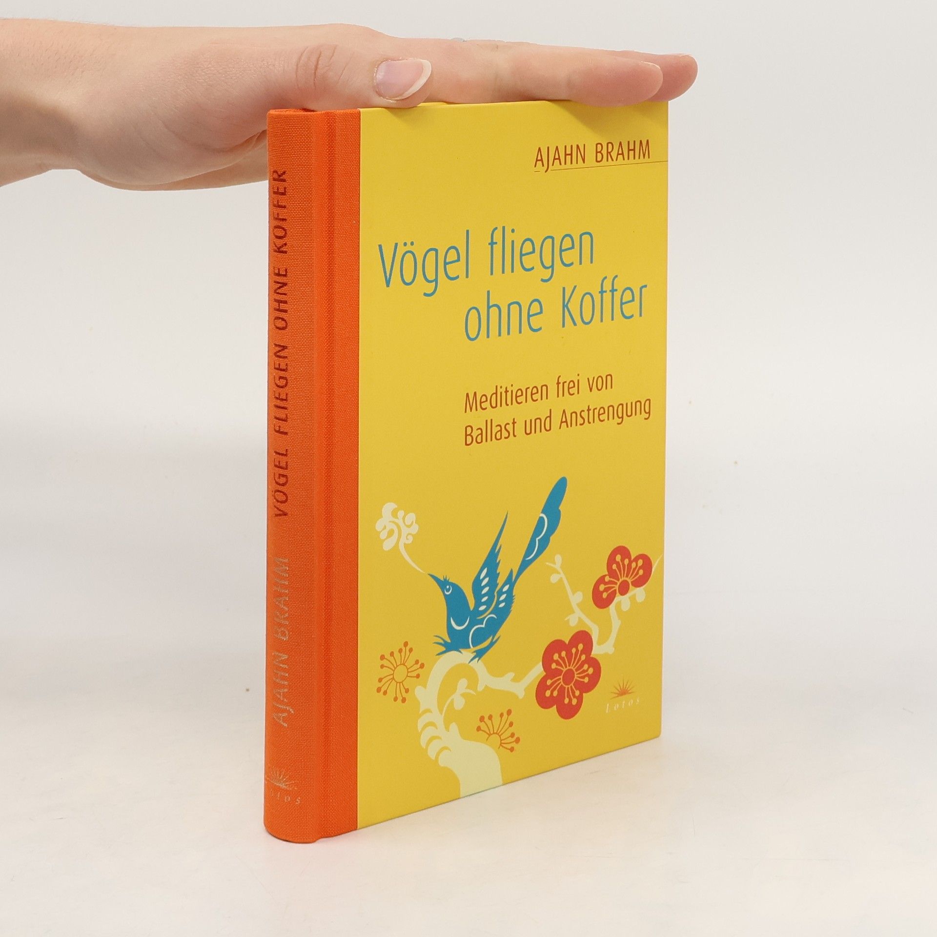 Brahmavamsó Vögel fliegen ohne Koffer