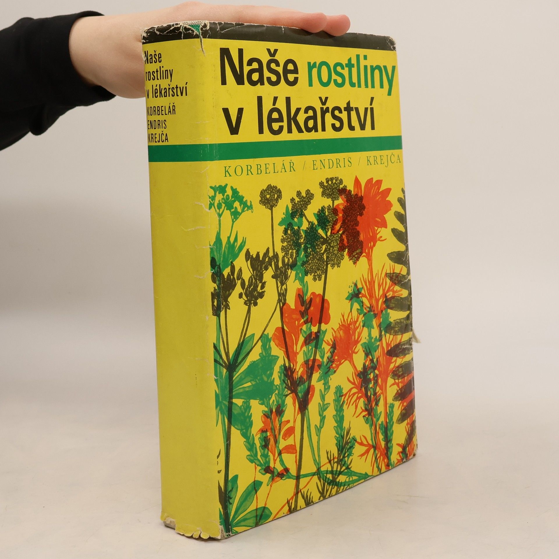 Jaroslav Korbelář Naše rostliny v lékařství