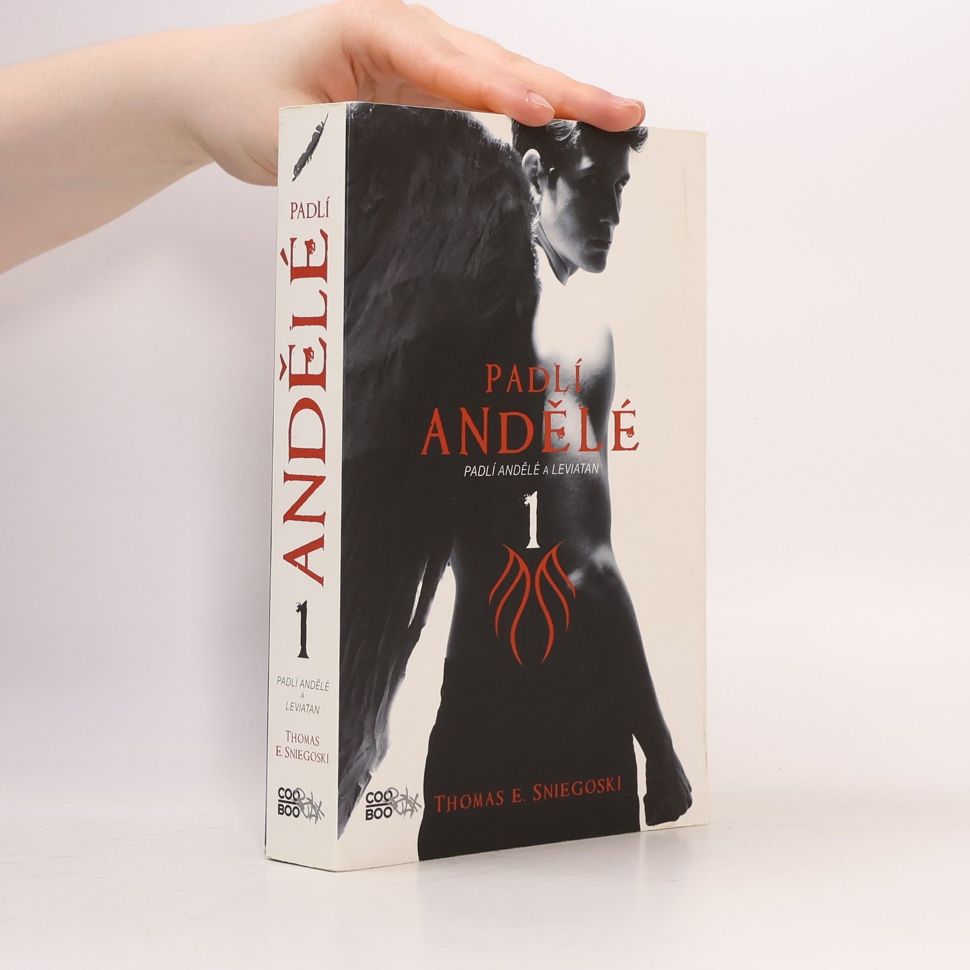 Thomas E. Sniegoski Padlí andělé a Leviatan. Padlí andělé. 1. díl