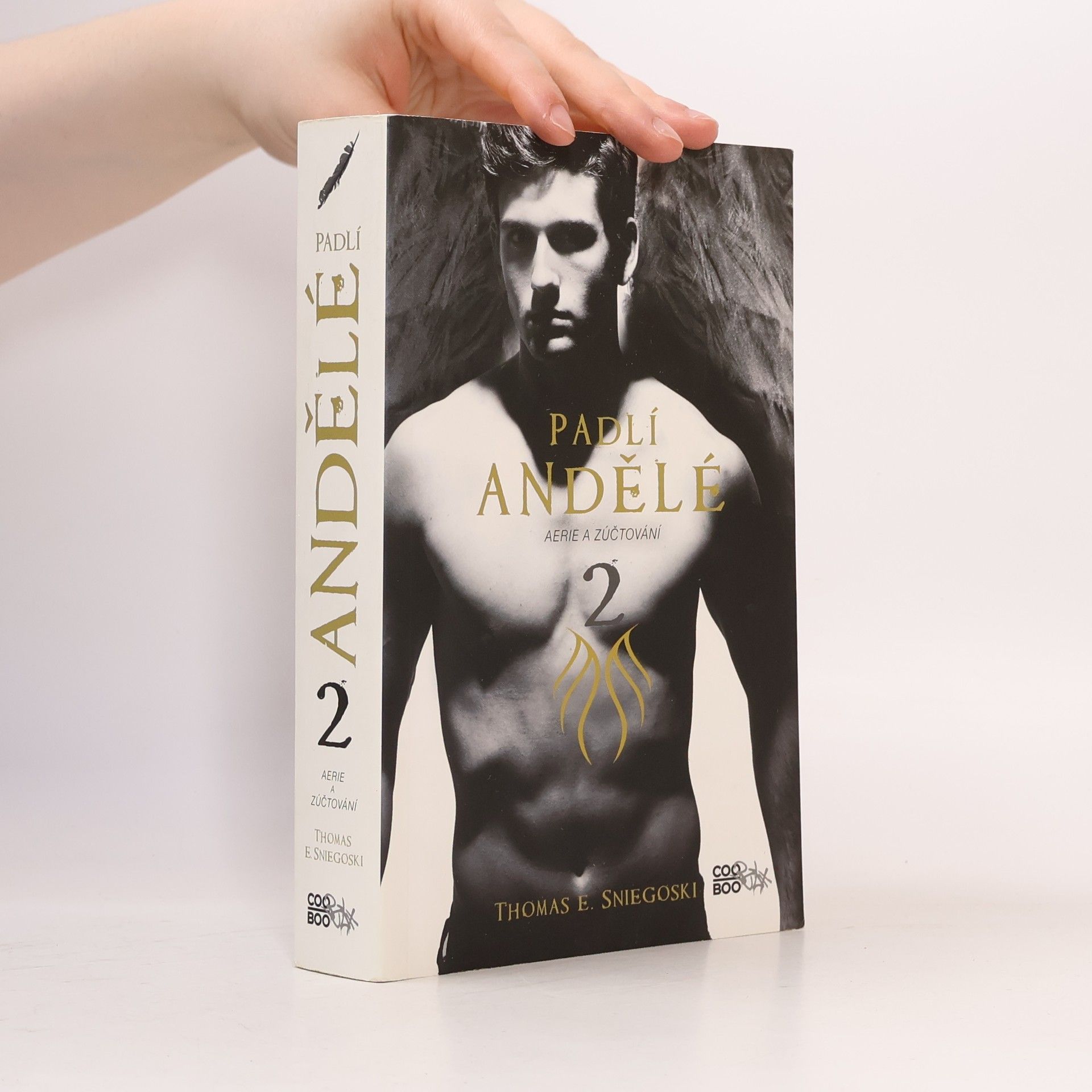 Thomas E. Sniegoski Aerie a zúčtování. Padlí andělé. 2. díl
