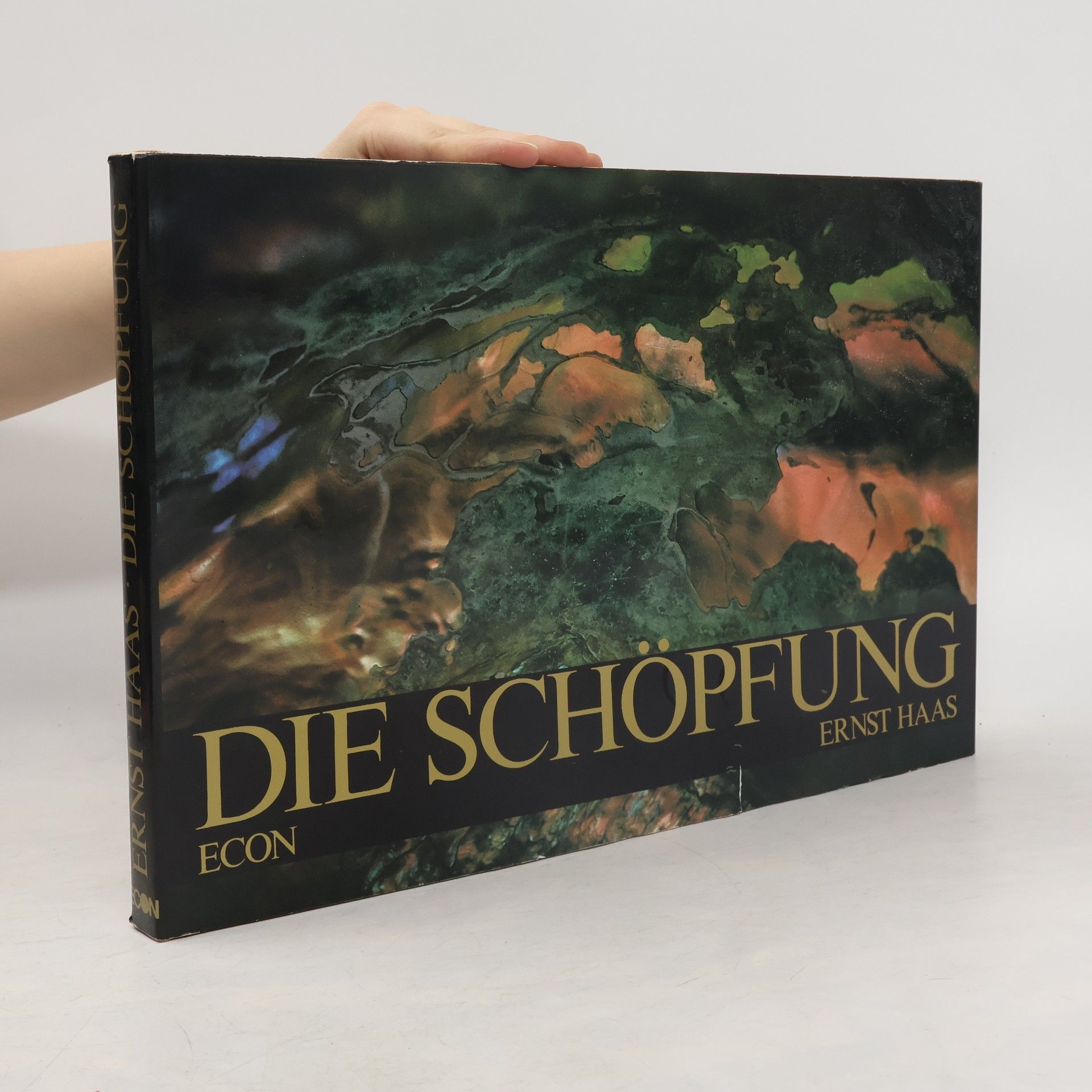Die Schöpfung