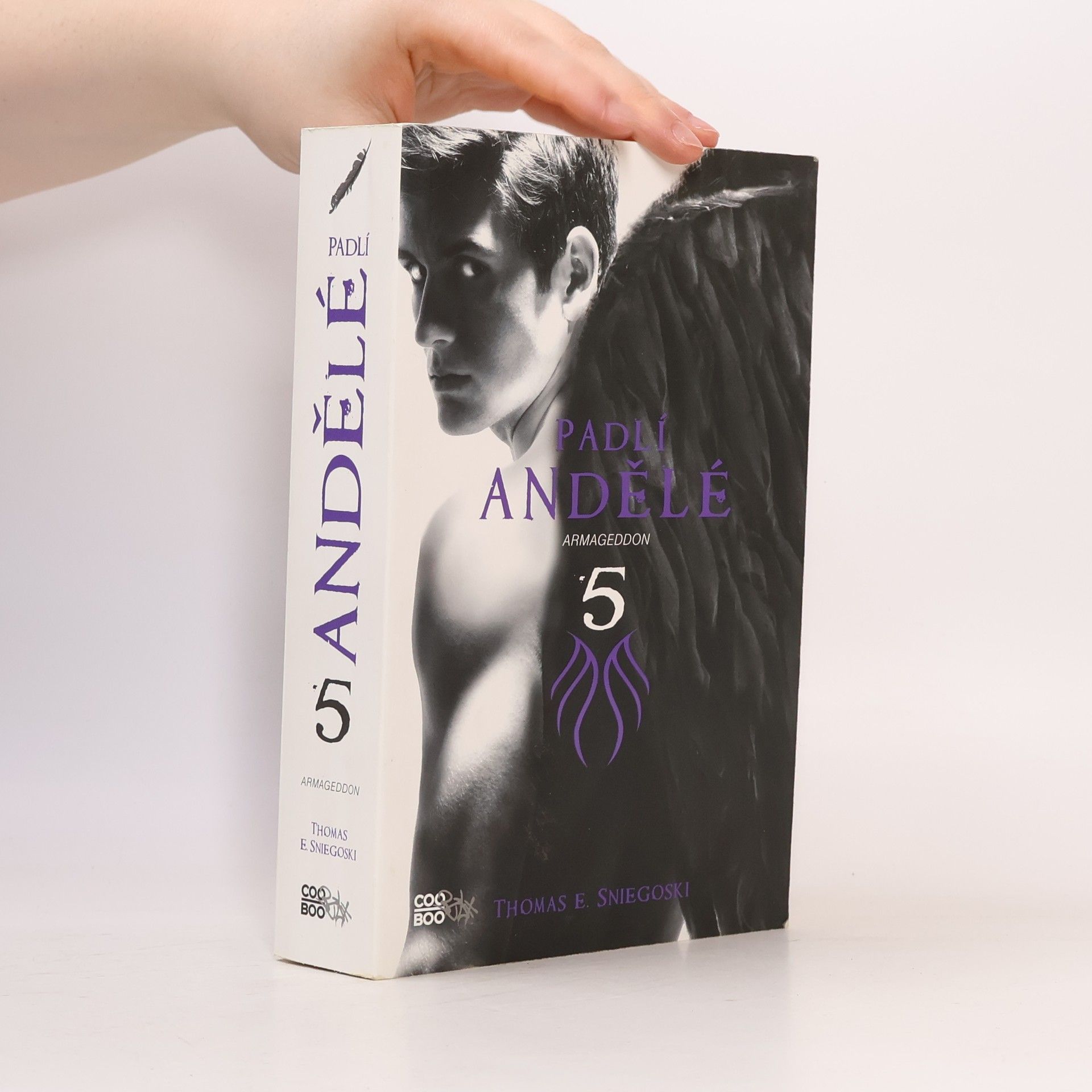Thomas E. Sniegoski Padlí andělé. 5, Armageddon