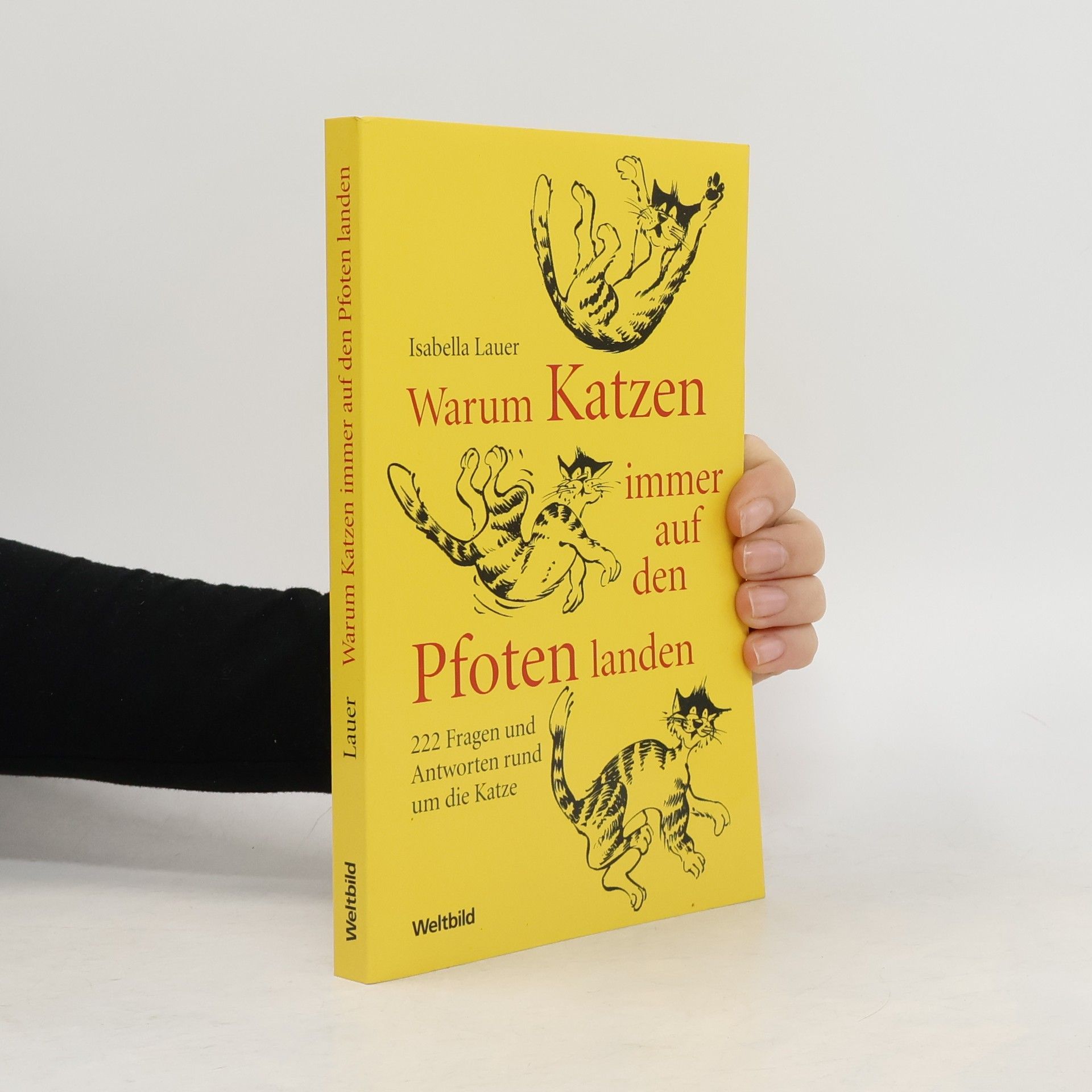 Warum Katzen immer auf den Pfoten landen