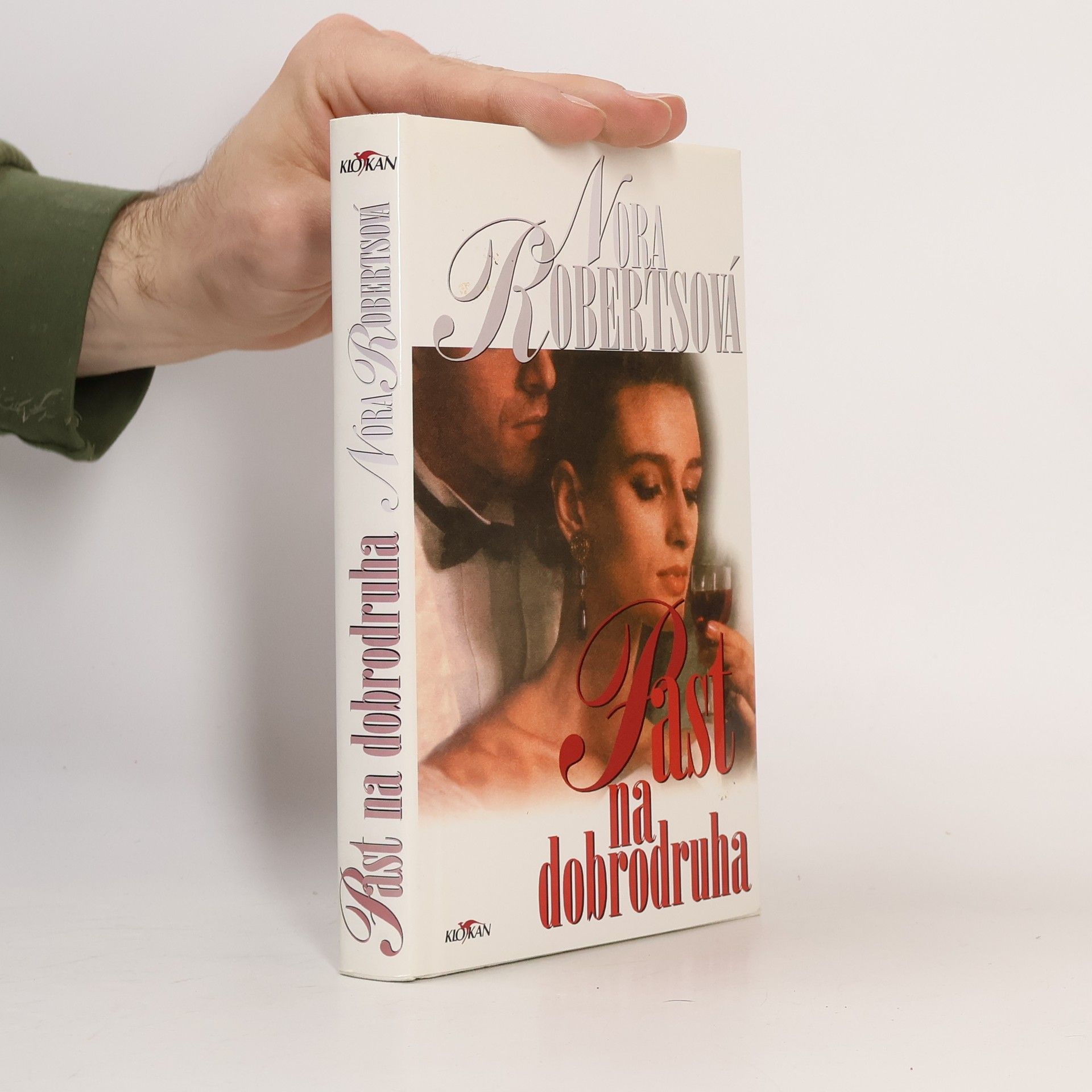 Nora Roberts Past na dobrodruha