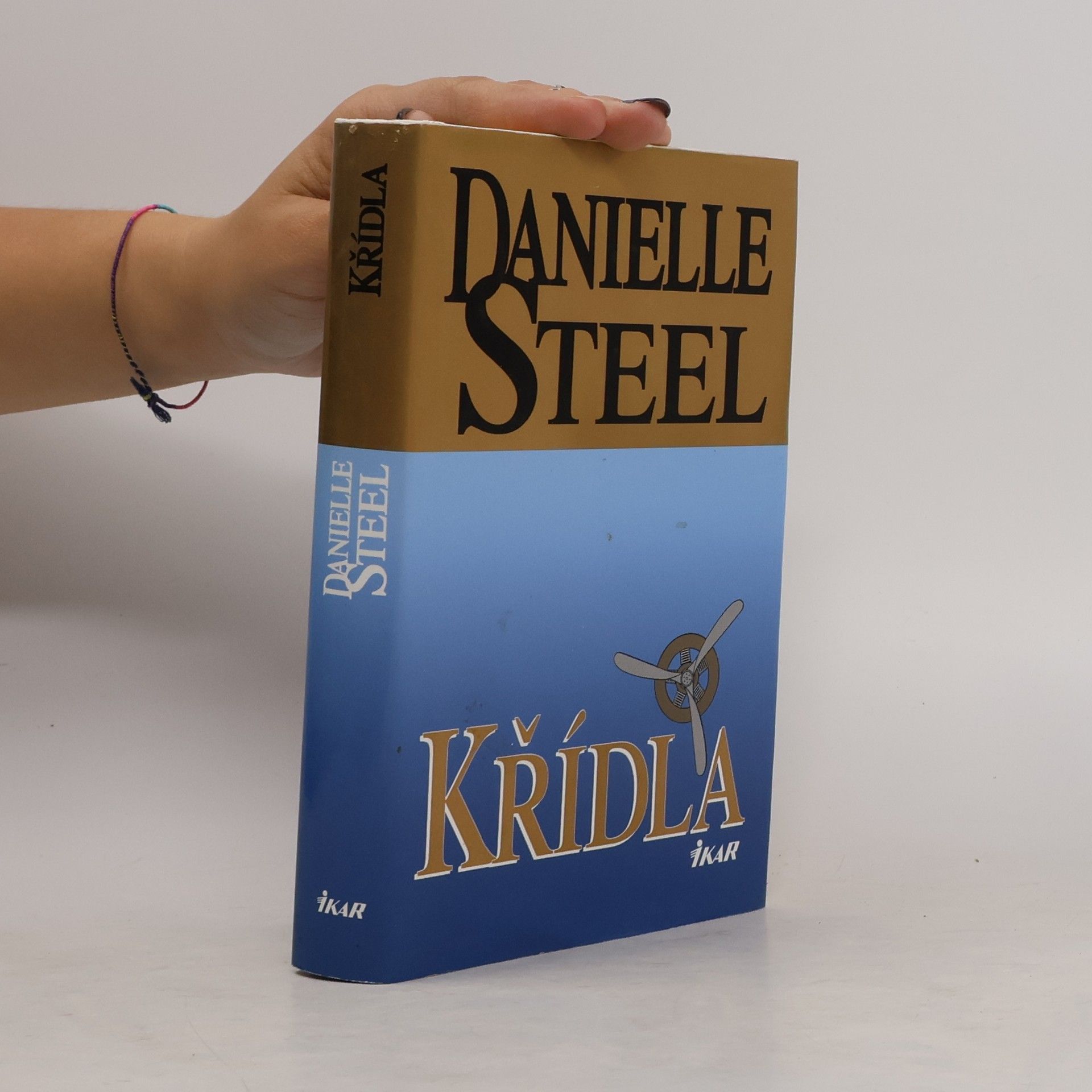 Danielle Steel Křídla