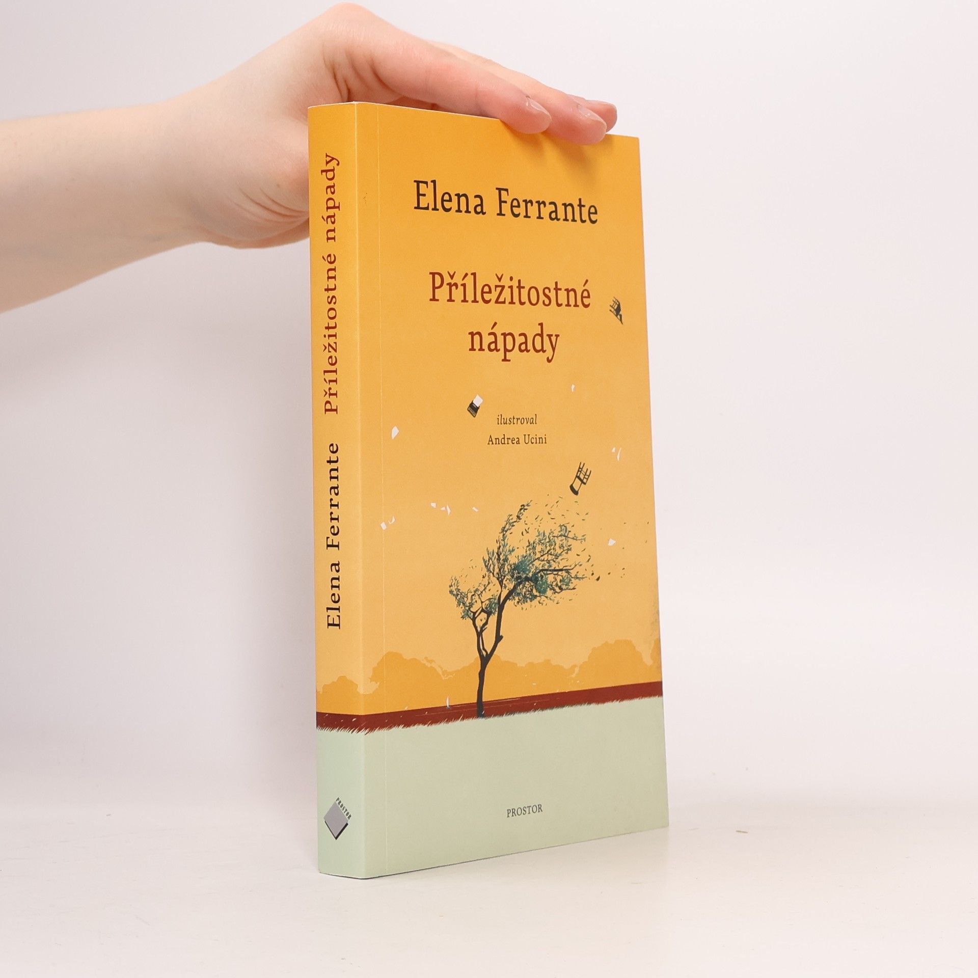 Elena Ferrante Příležitostné nápady