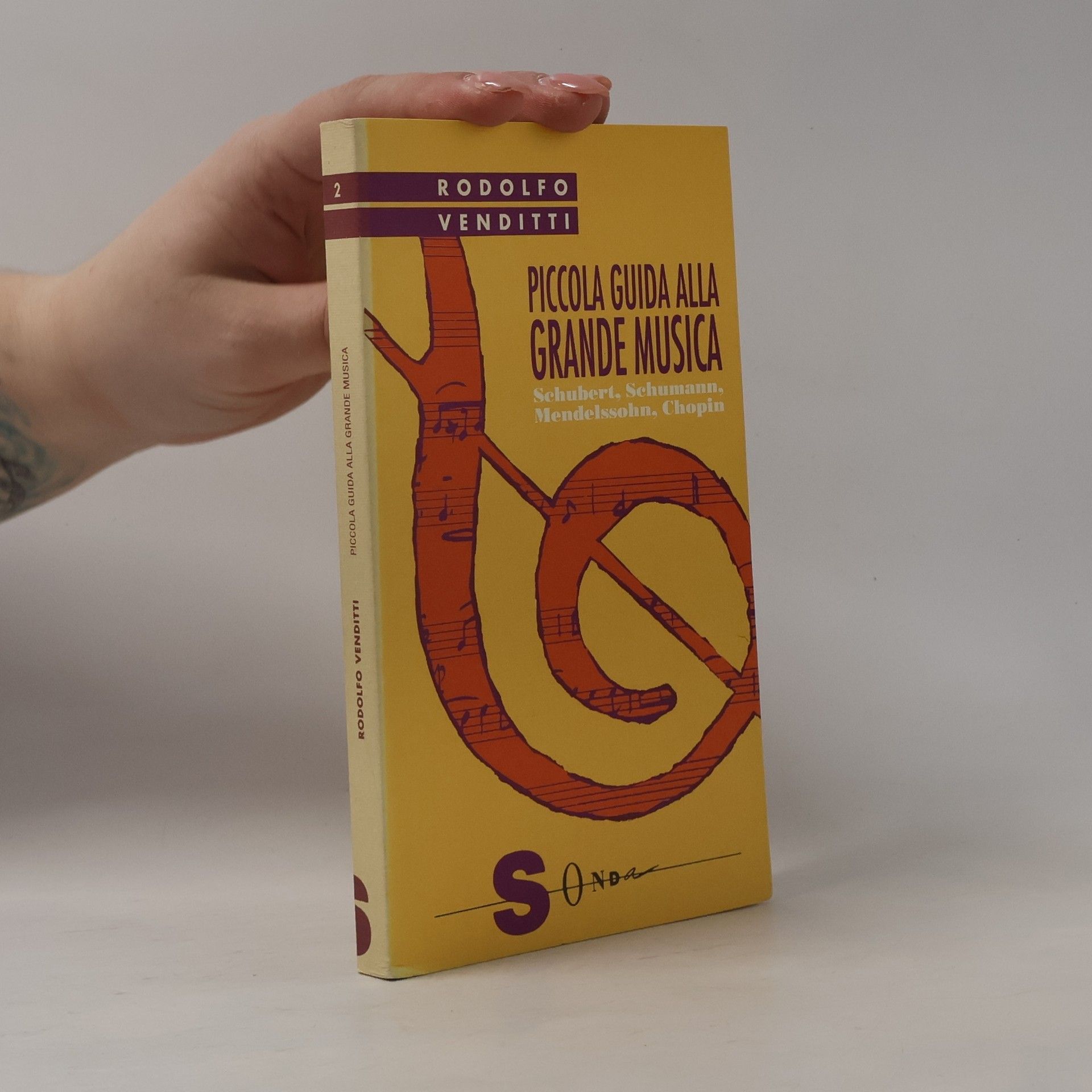 Piccola guida alla grande musica