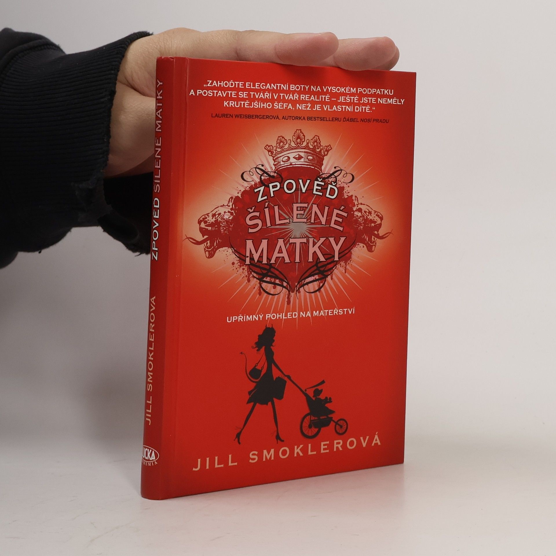 Jill Smokler Zpověď šílené matky. Upřímný pohled na mateřství
