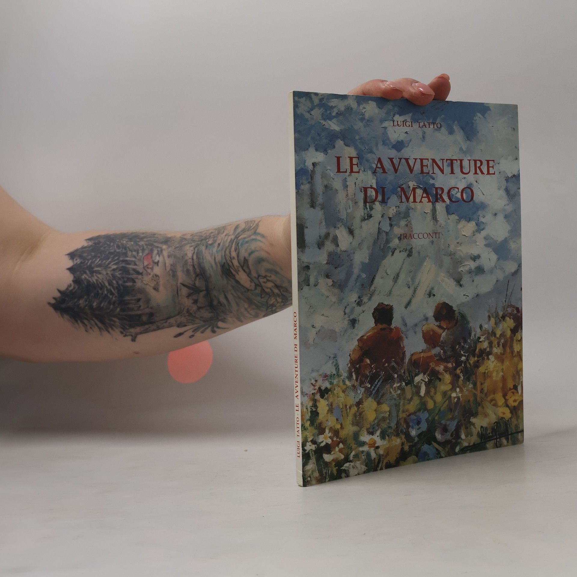 Luigi Tatto Le avventure di Marco