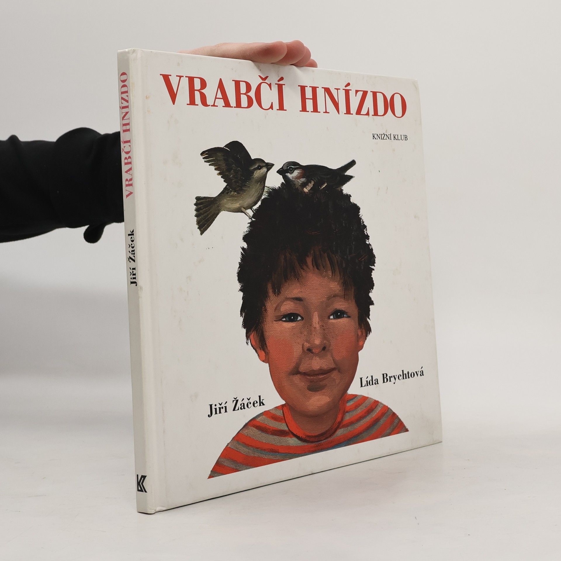 Lída Brychtová Vrabčí hnízdo : básničky pro kluky a děvčata