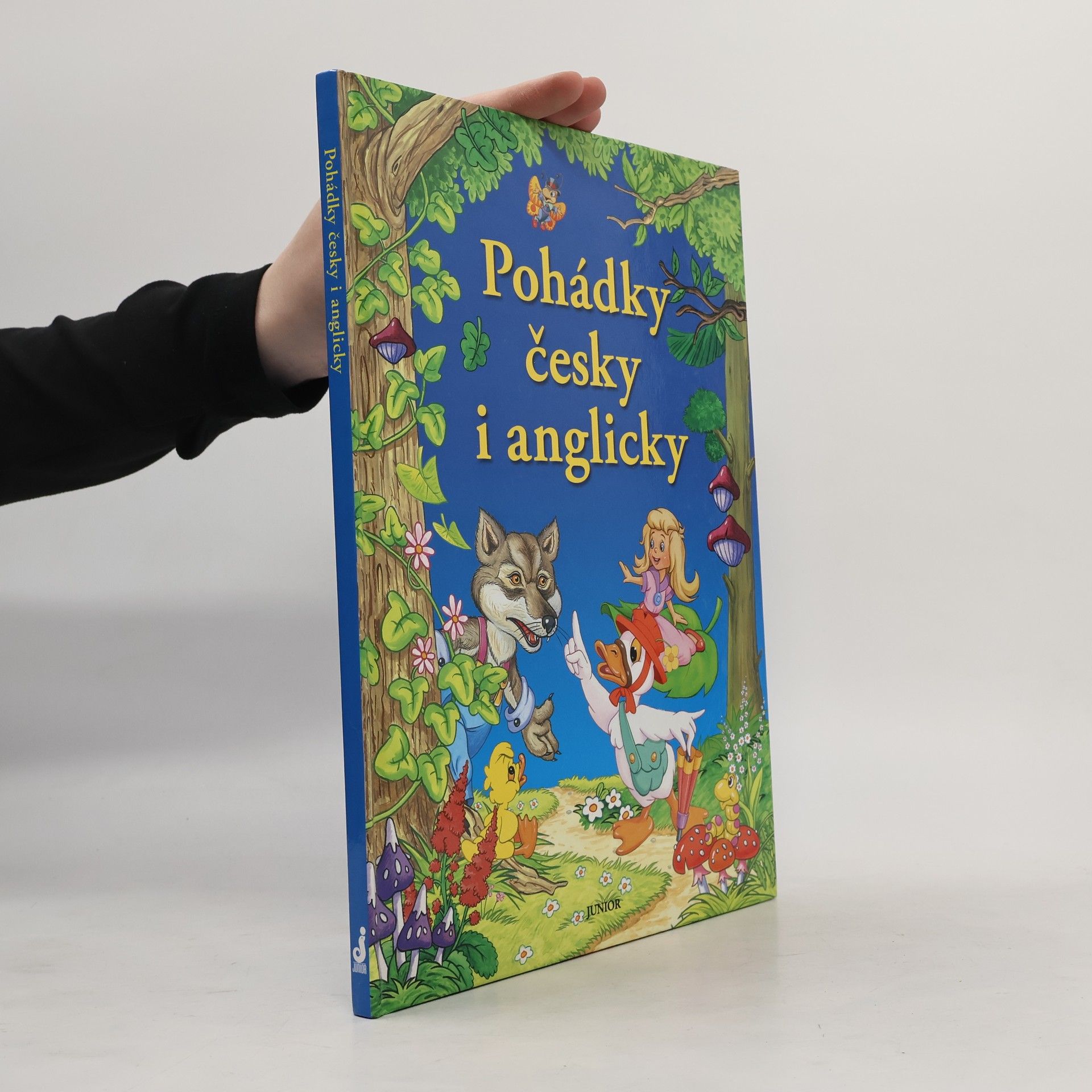 Dorota Fic Pohádky česky i anglicky