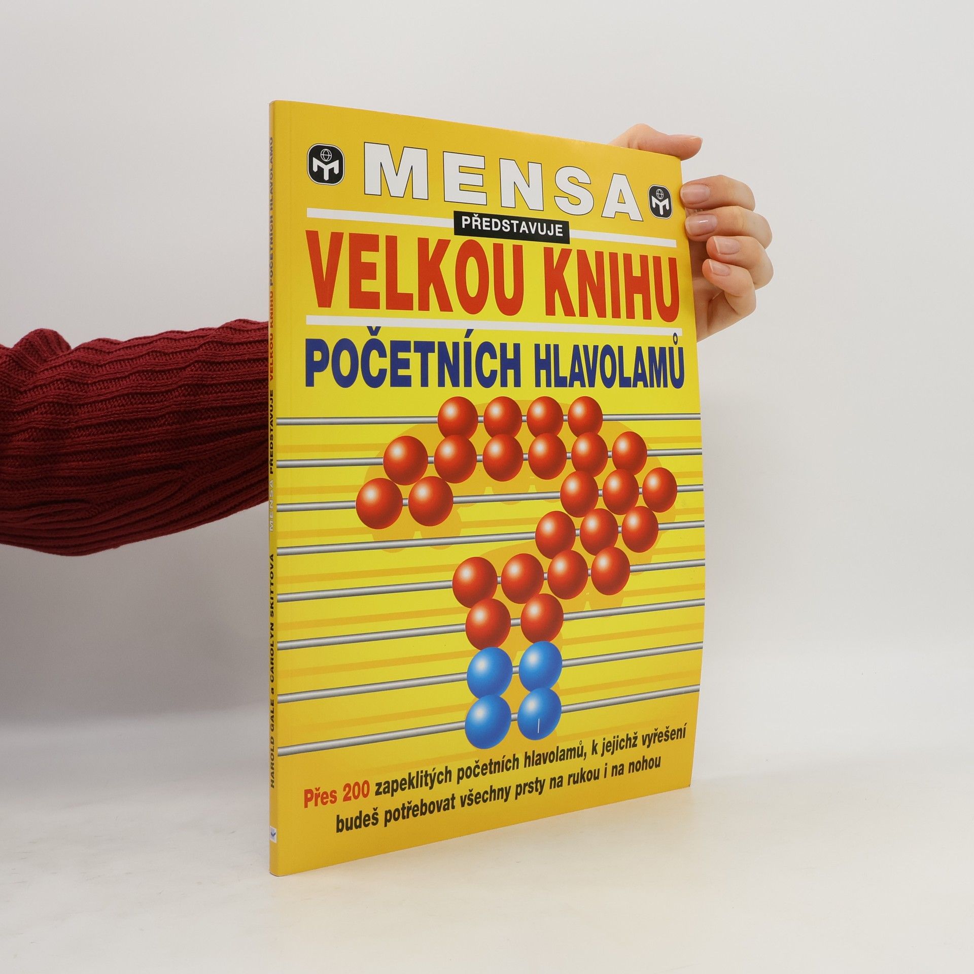Velká kniha početních hlavolamů