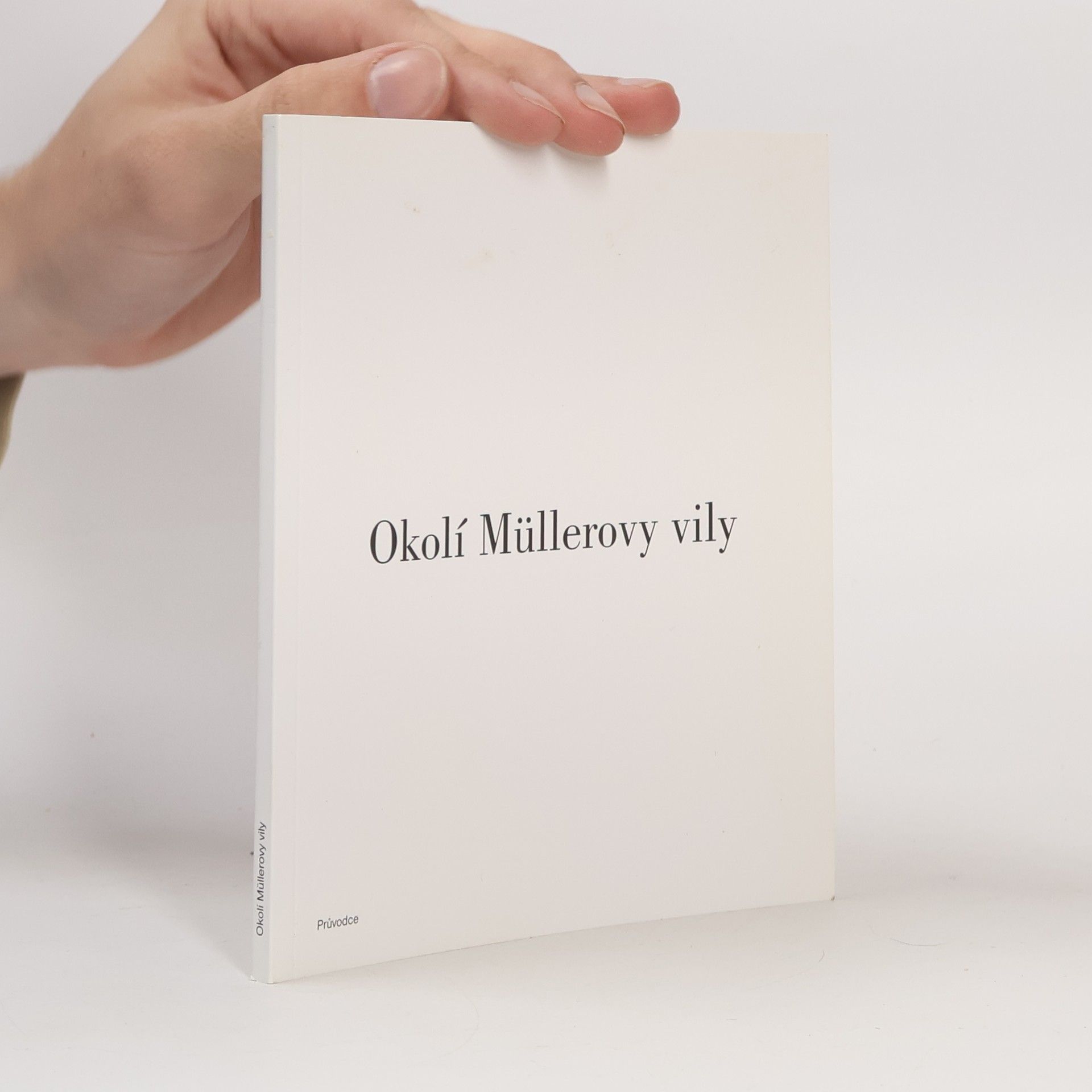 Ladislav Zikmund Lender Okolí Müllerovy vily