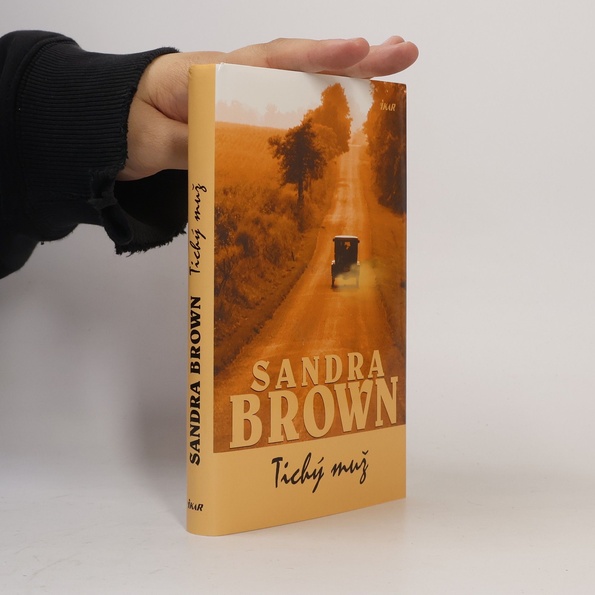 Sandra Brown Tichý muž