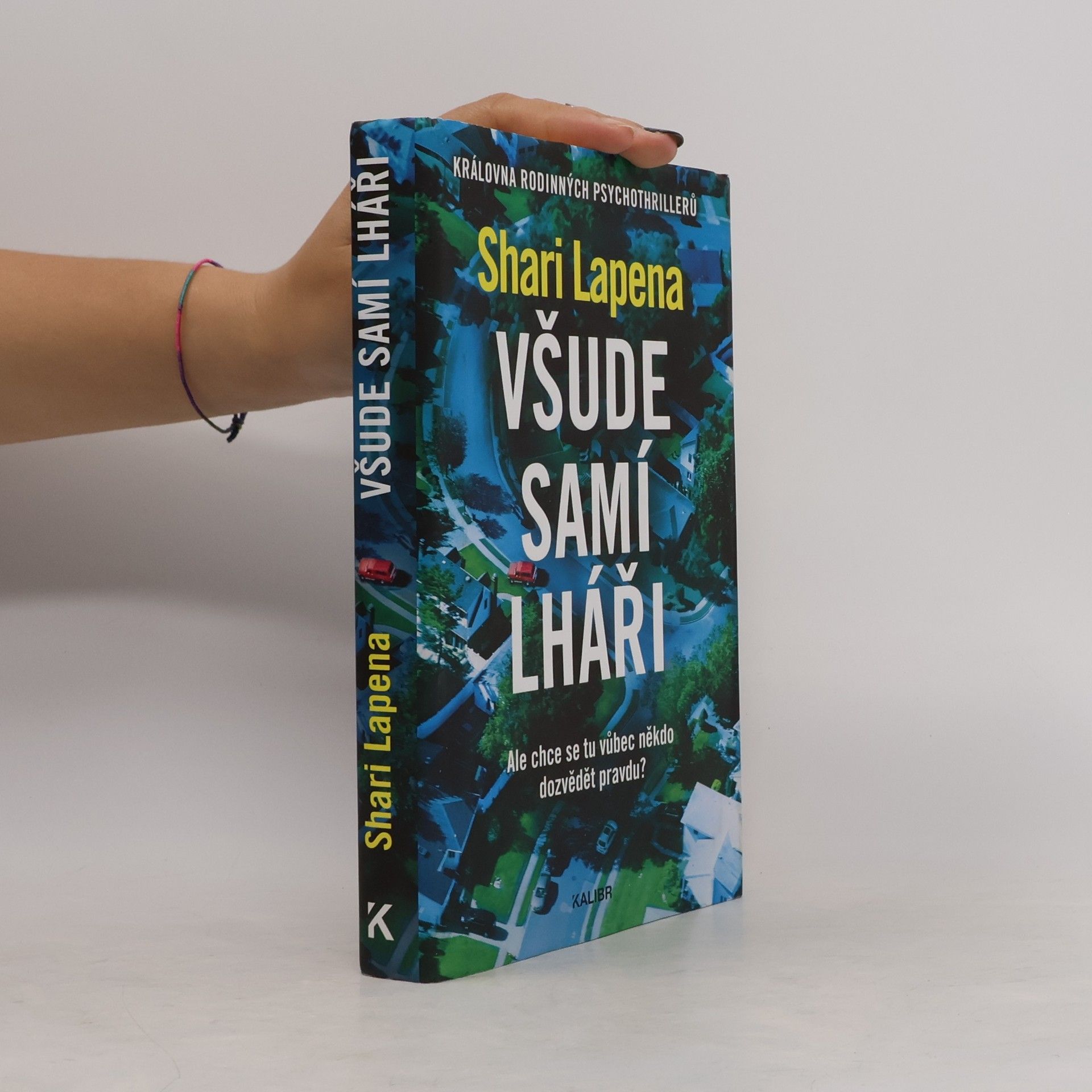 Shari Lapena Všude samí lháři