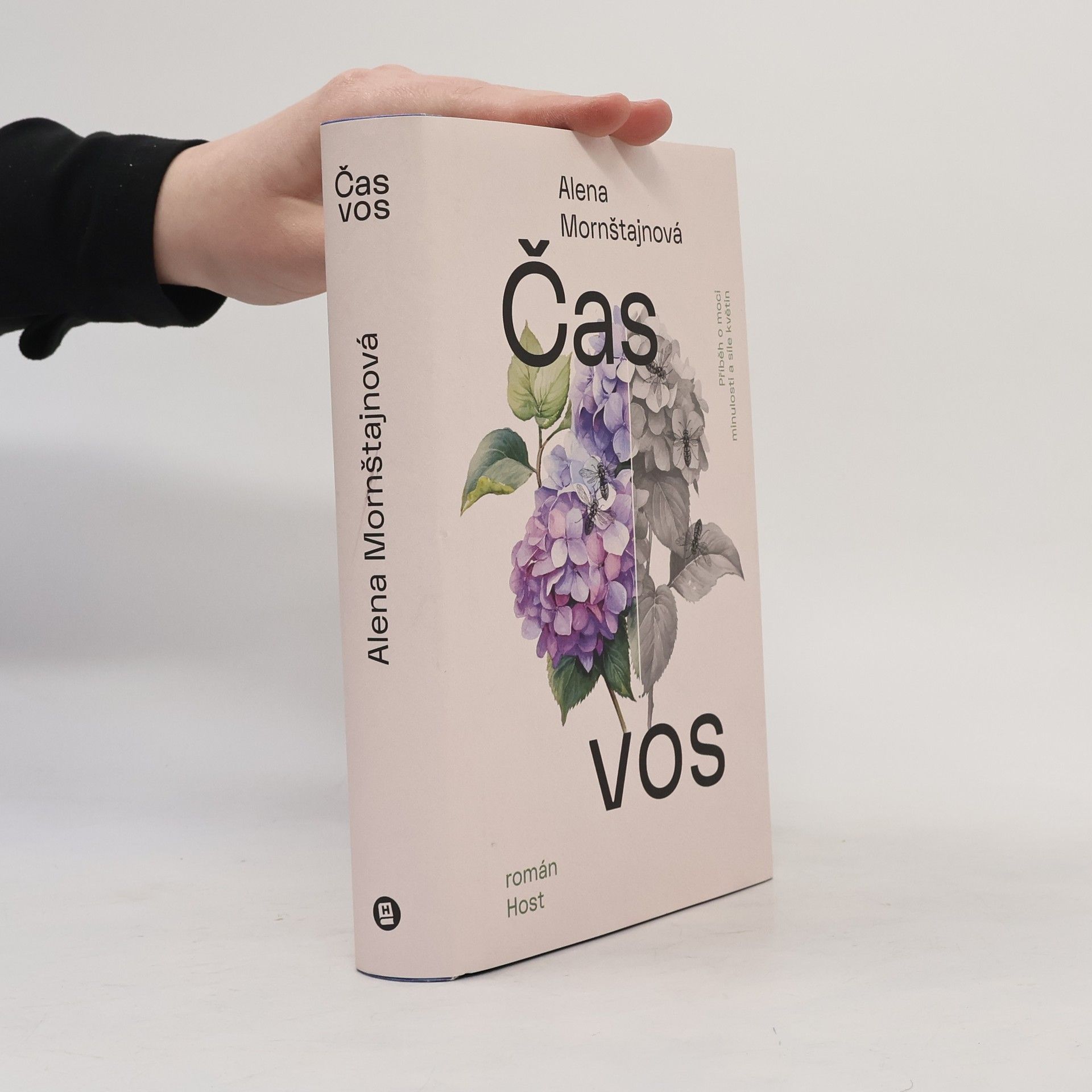 Čas vos