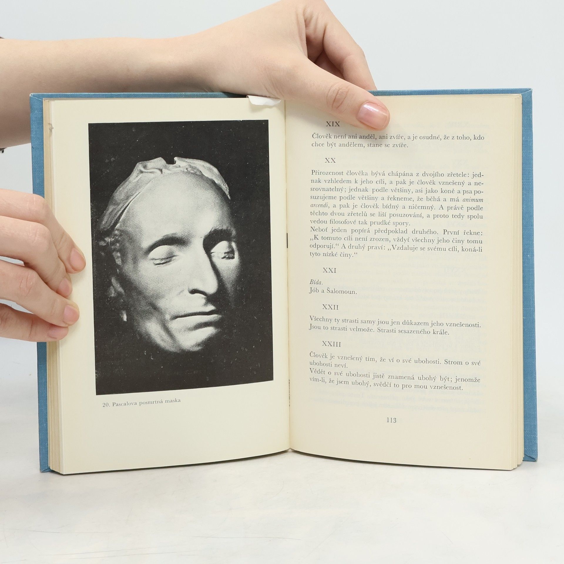 Lev Nikolajevič Tolstoj Myšlenky