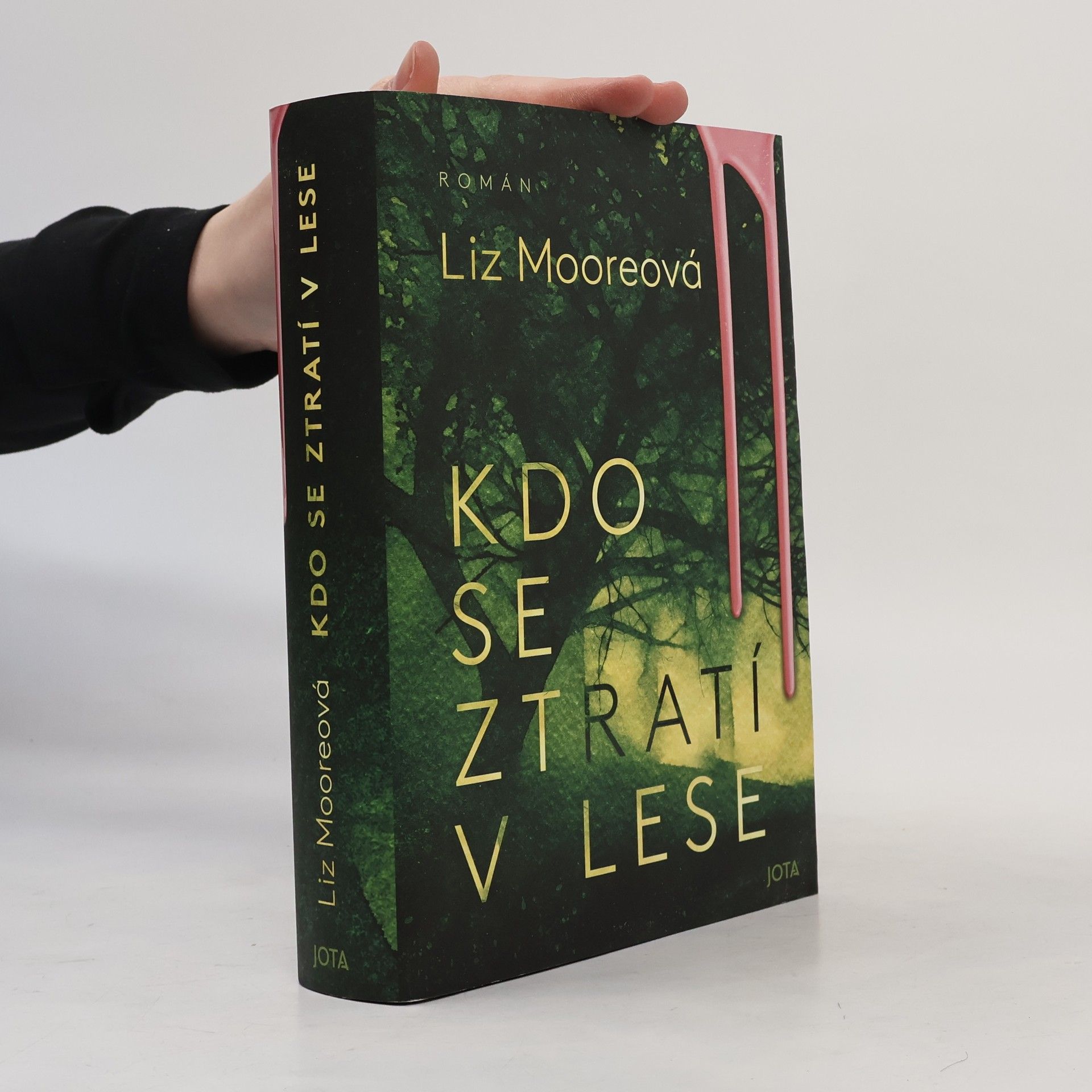 Liz Moore Kdo se ztratí v lese