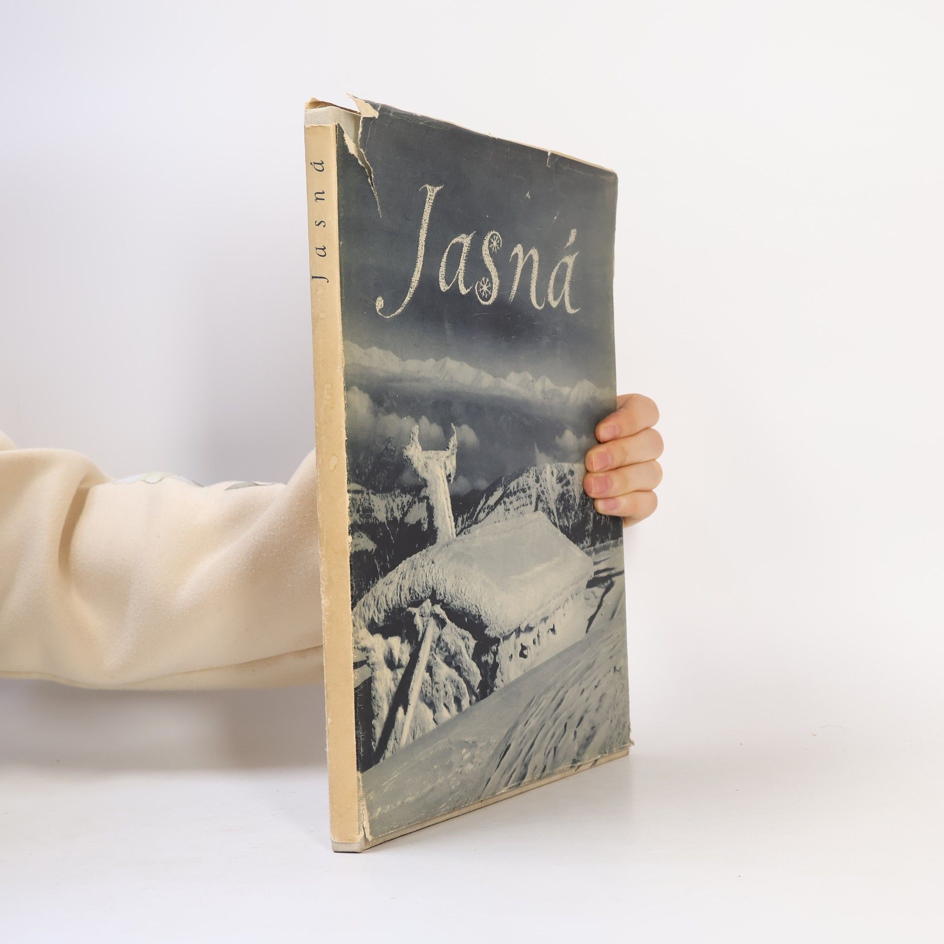 Collectif d'auteurs Jasná
