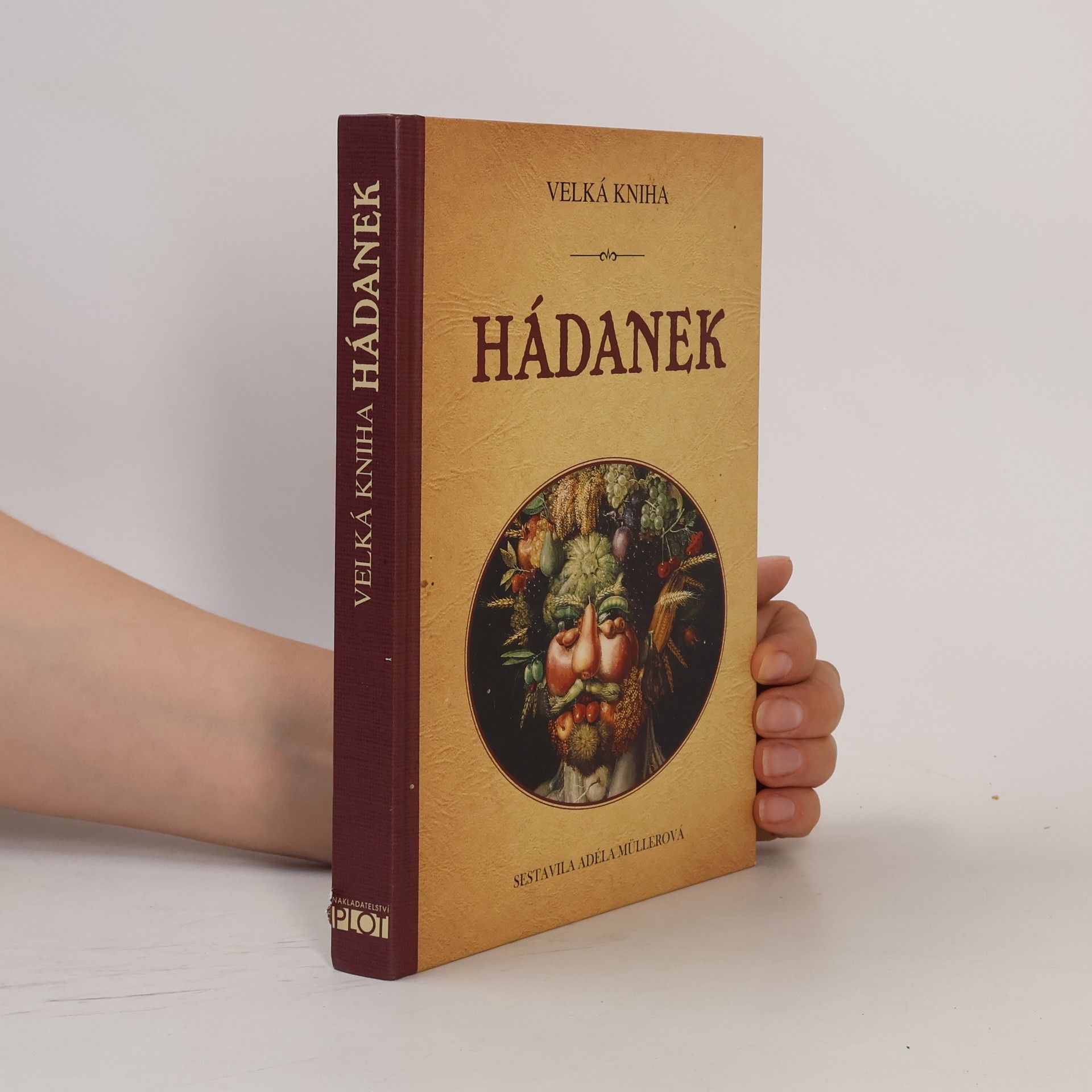 Adéla Müllerová Velká kniha hádanek