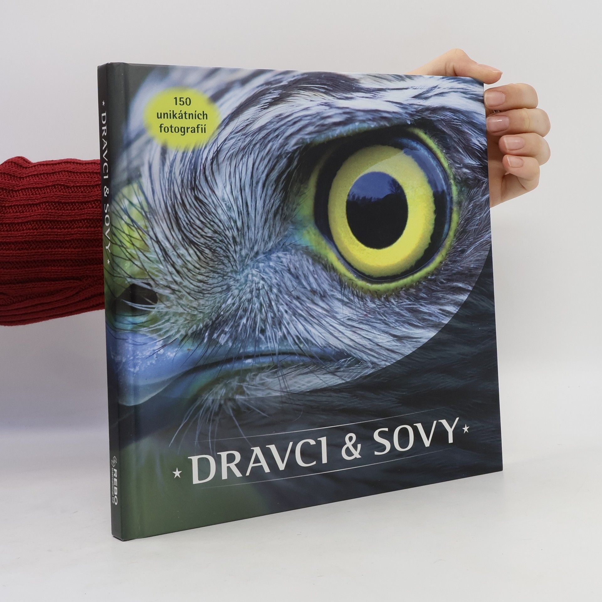 Arno Ten Hoeve Dravci & Sovy
