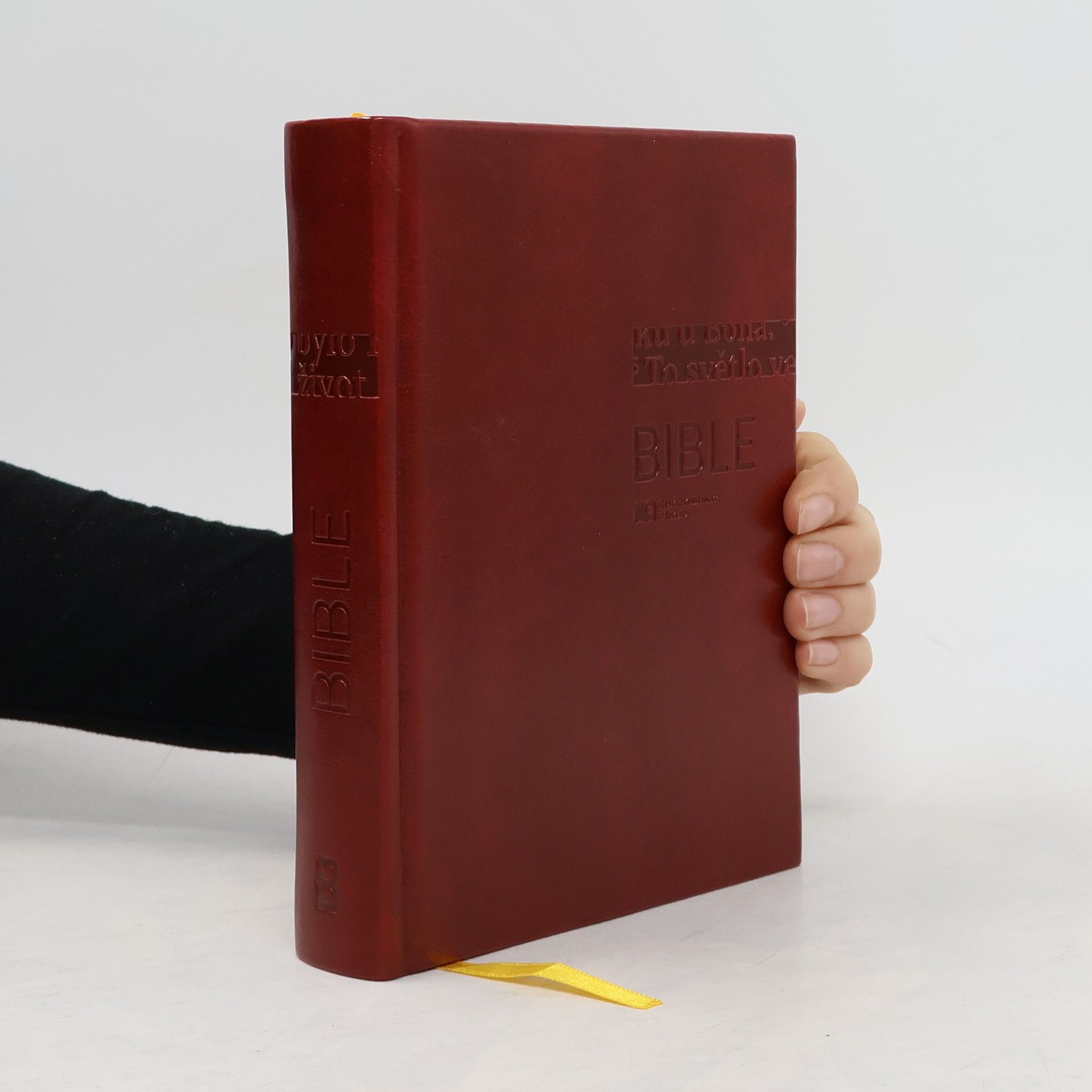 Kolektiv autorů Bible