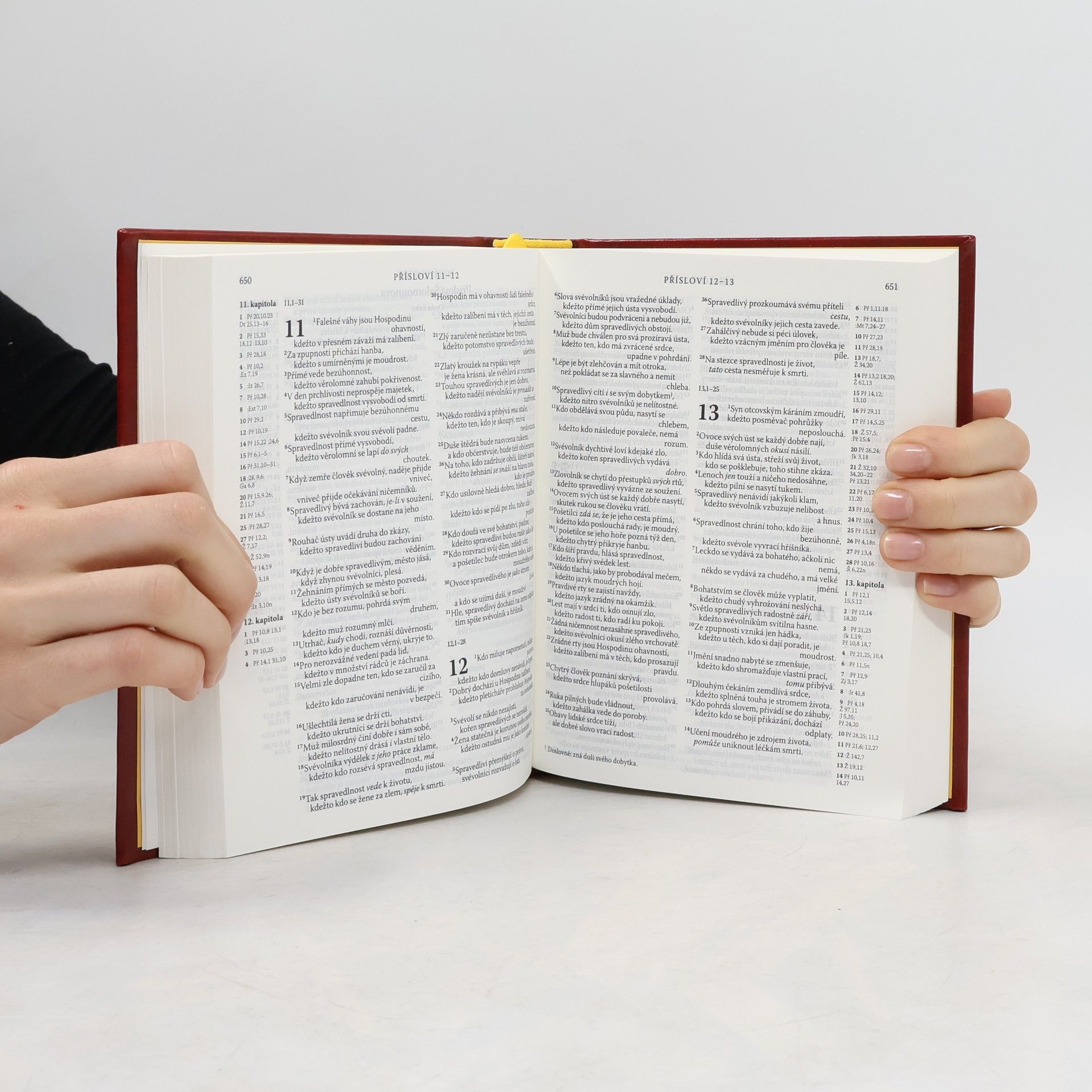 Autorenkollektiv Bible