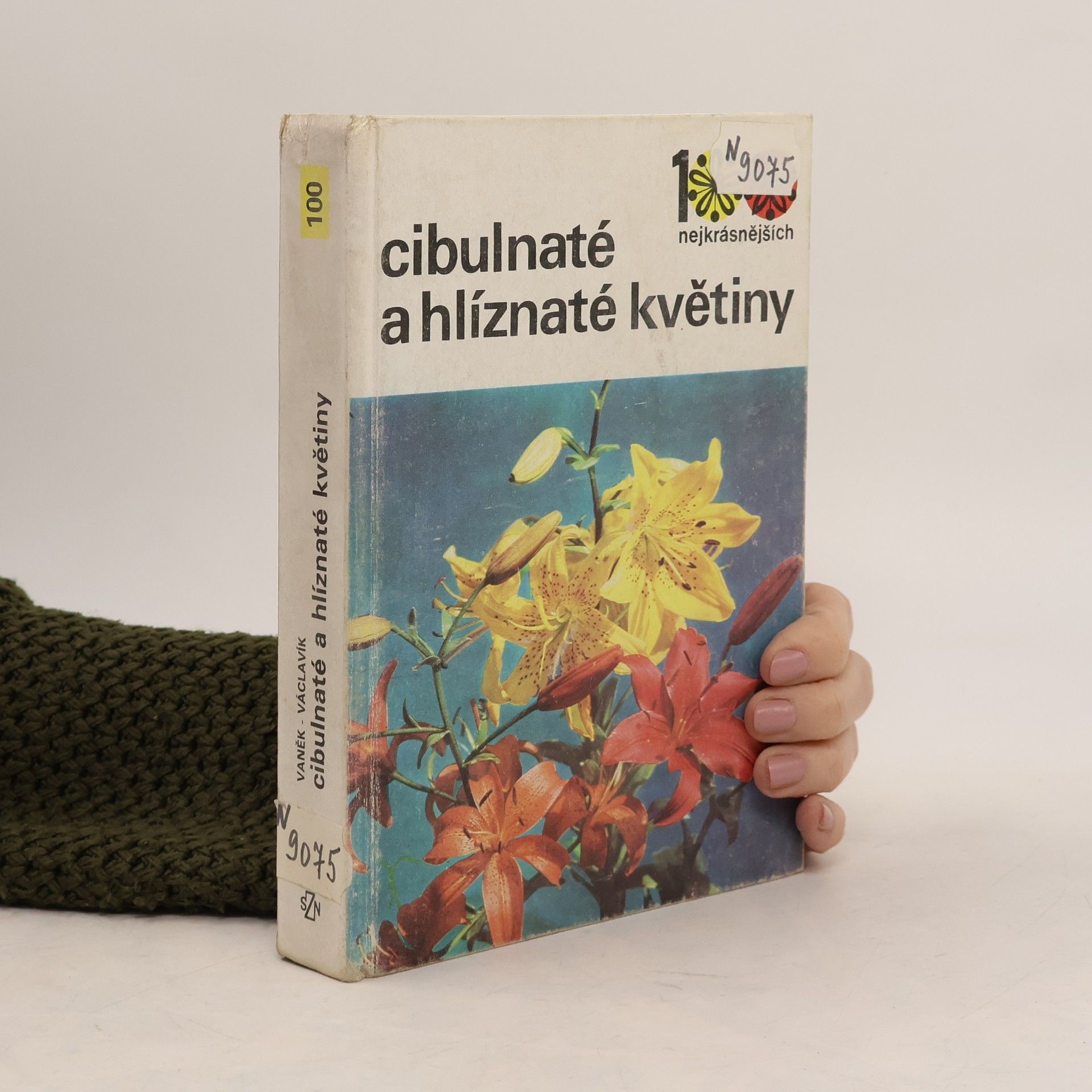 Vlastimil Vaněk Cibulnaté a hlíznaté květiny