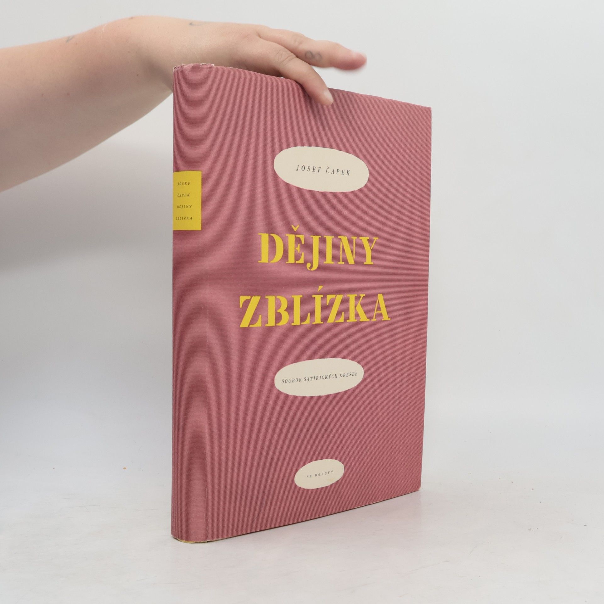 Josef Čapek Dějiny zblízka
