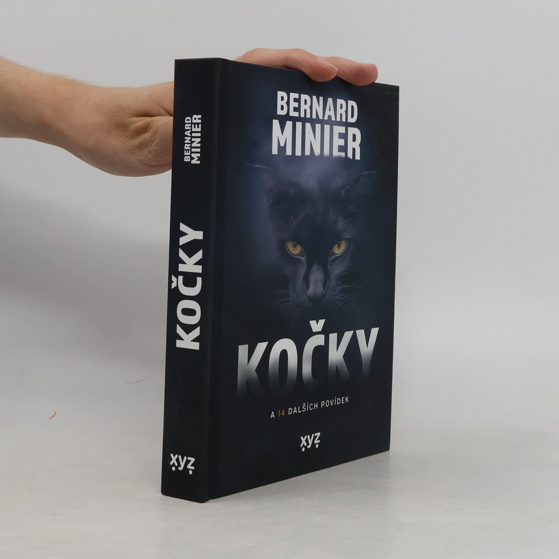 Bernard Minier Kočky