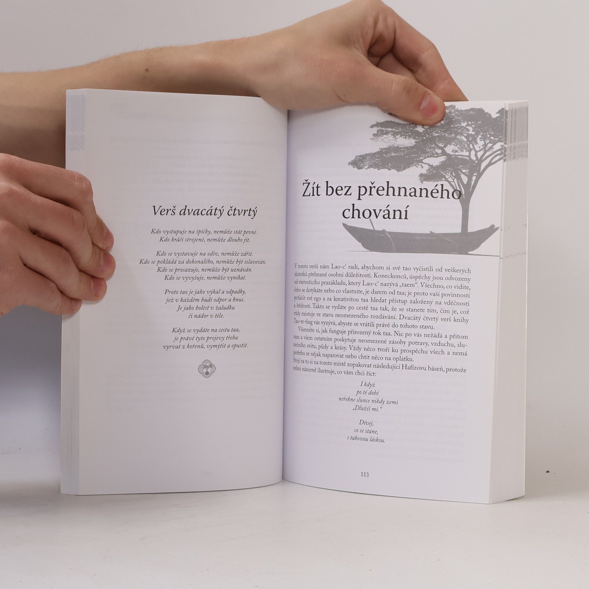 Wayne W. Dyer Změňte své myšlenky, změňte svůj život. Žít moudrostí Taa