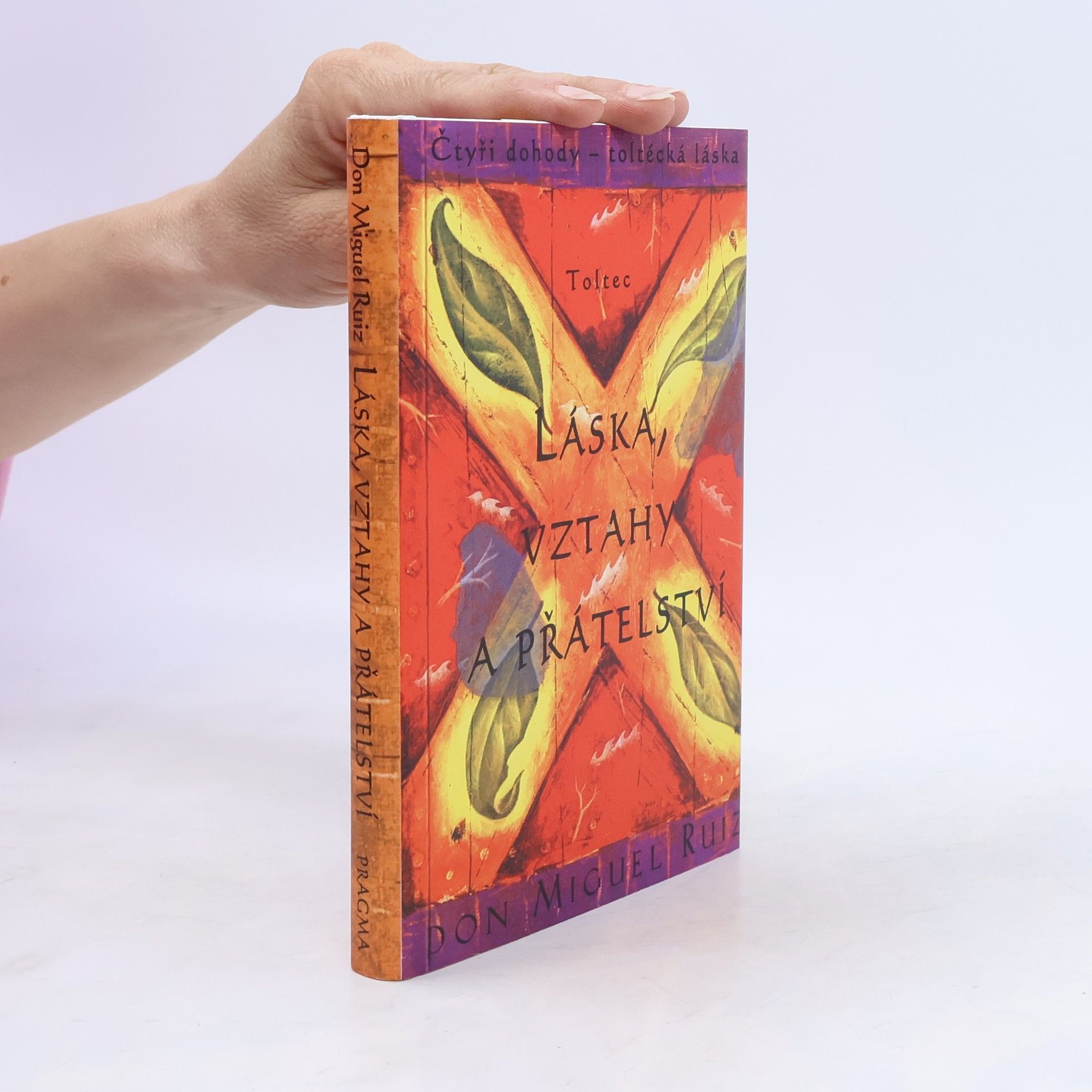 Don Miguel Ruiz Láska, vztahy a přátelství