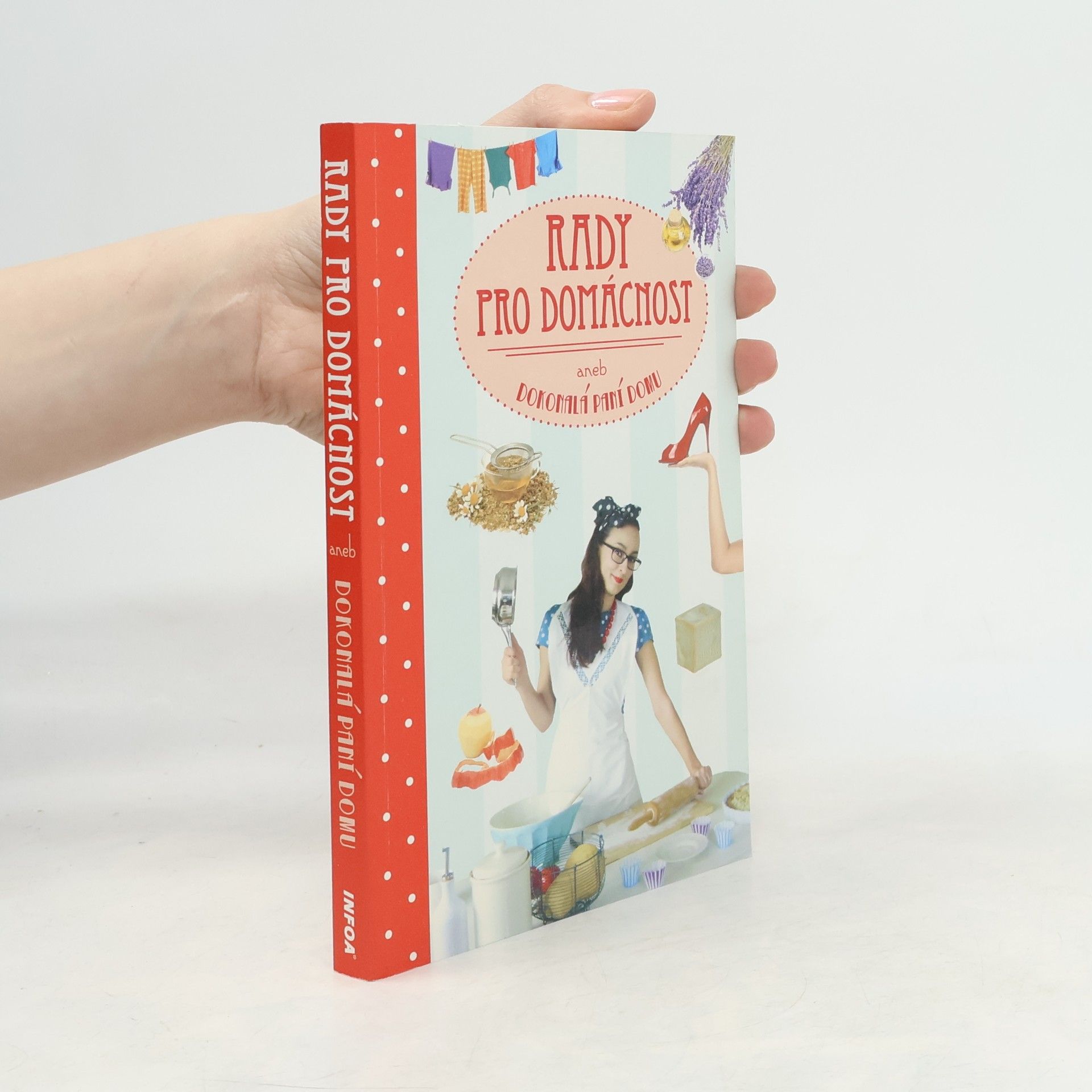 Various authors Rady pro domácnost, aneb Dokonalá paní domu