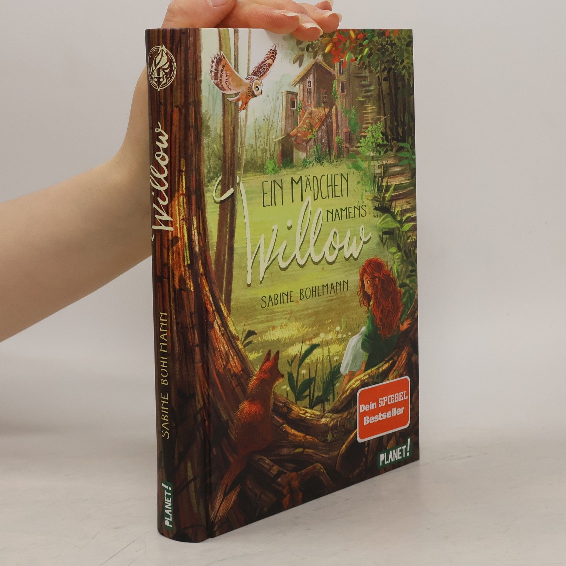 Sabine Bohlmann Ein Mädchen namens Willow