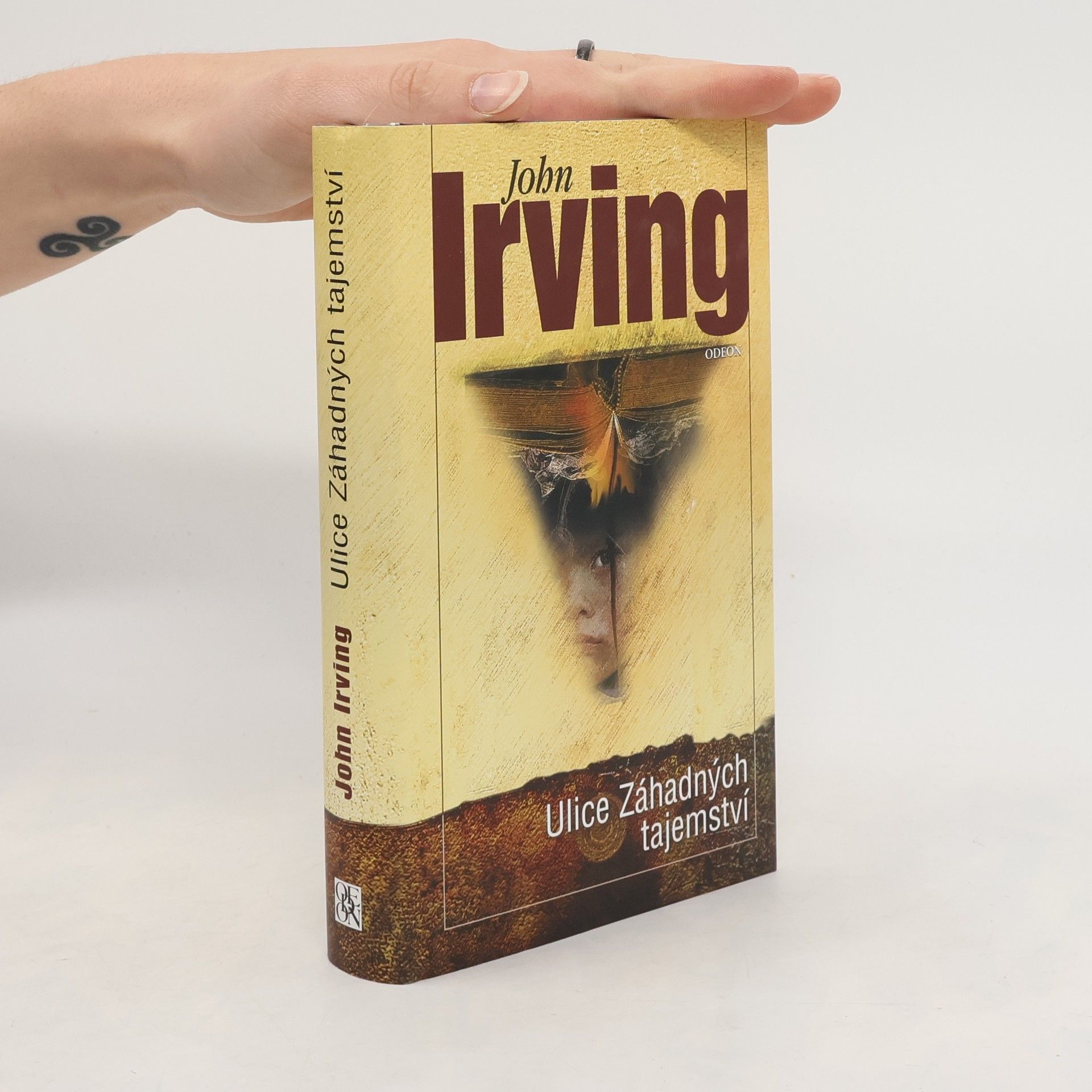 John Irving Ulice Záhadných tajemství
