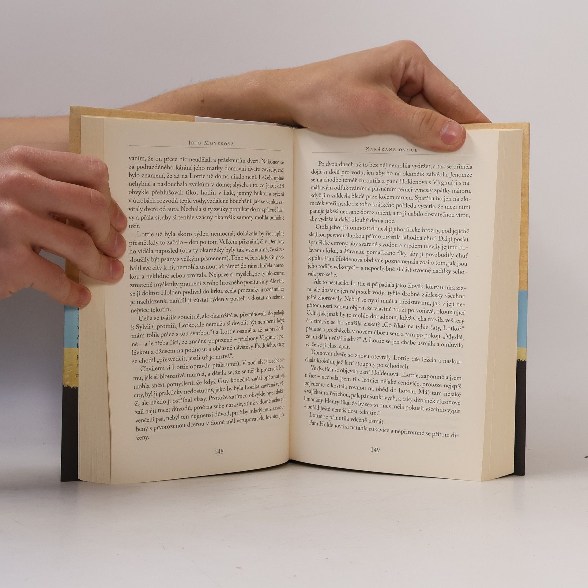 Jojo Moyes Zakázané ovoce