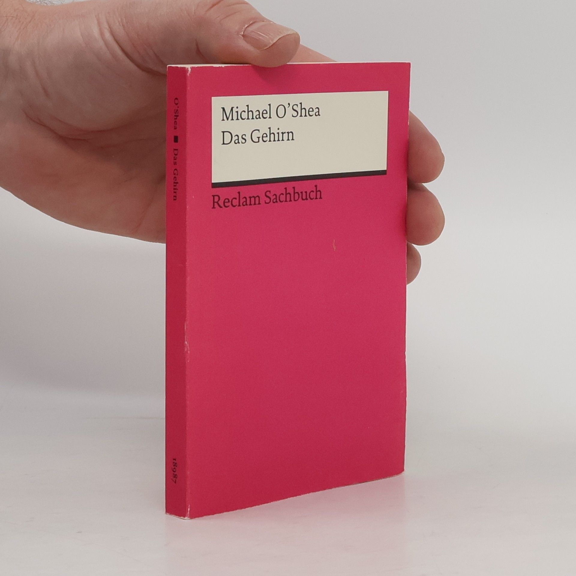 Michael OShea Das Gehirn