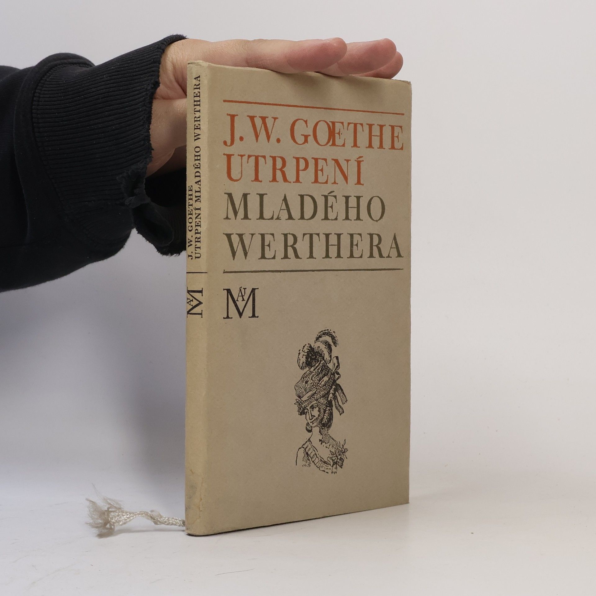 Johann Wolfgang von Goethe Utrpení mladého Werthera