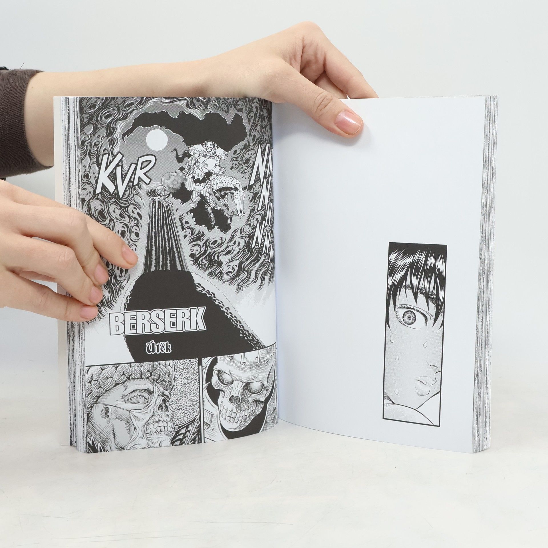 Kentaró Miura Berserk 13