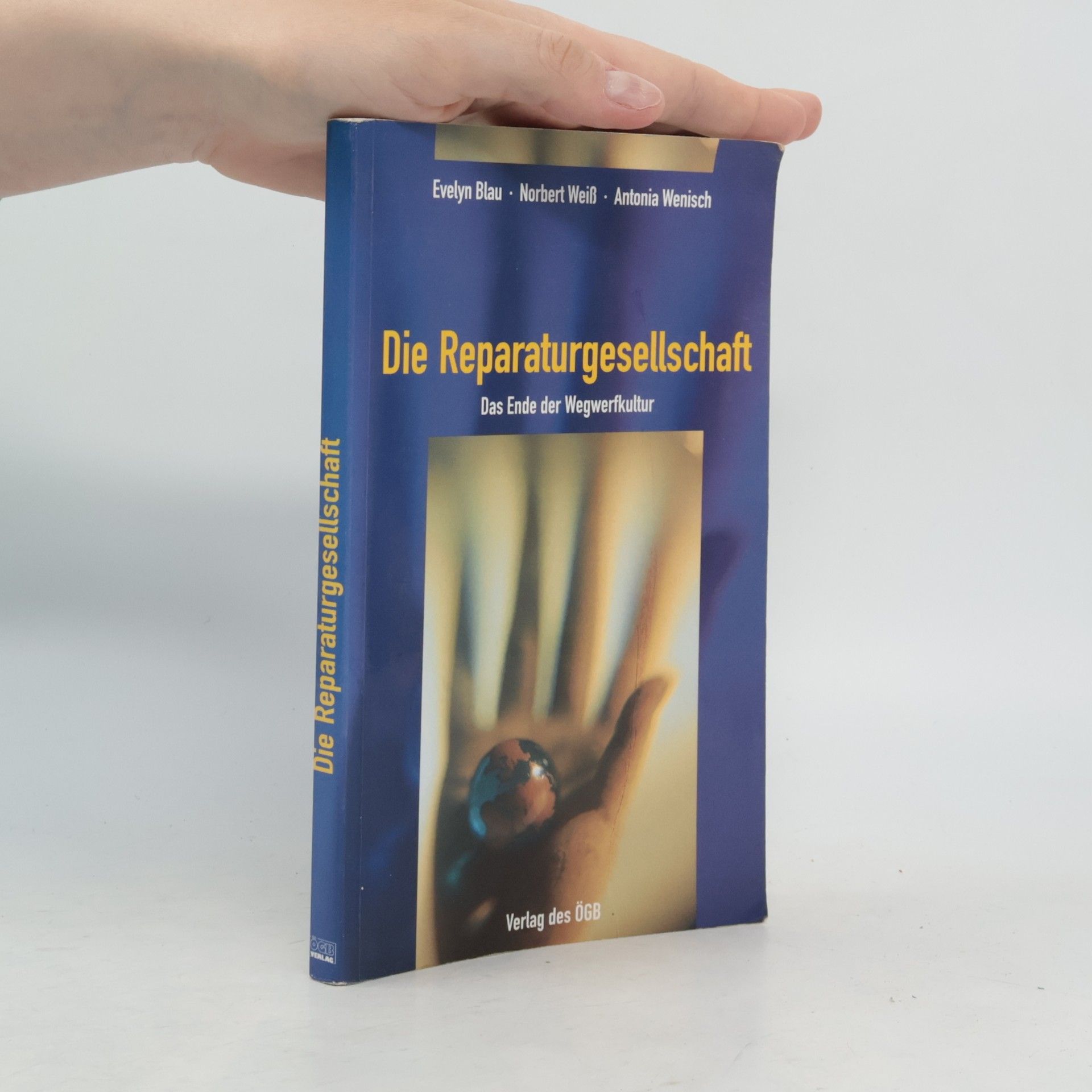 Evelyn Blau Die Reparaturgesellschaft