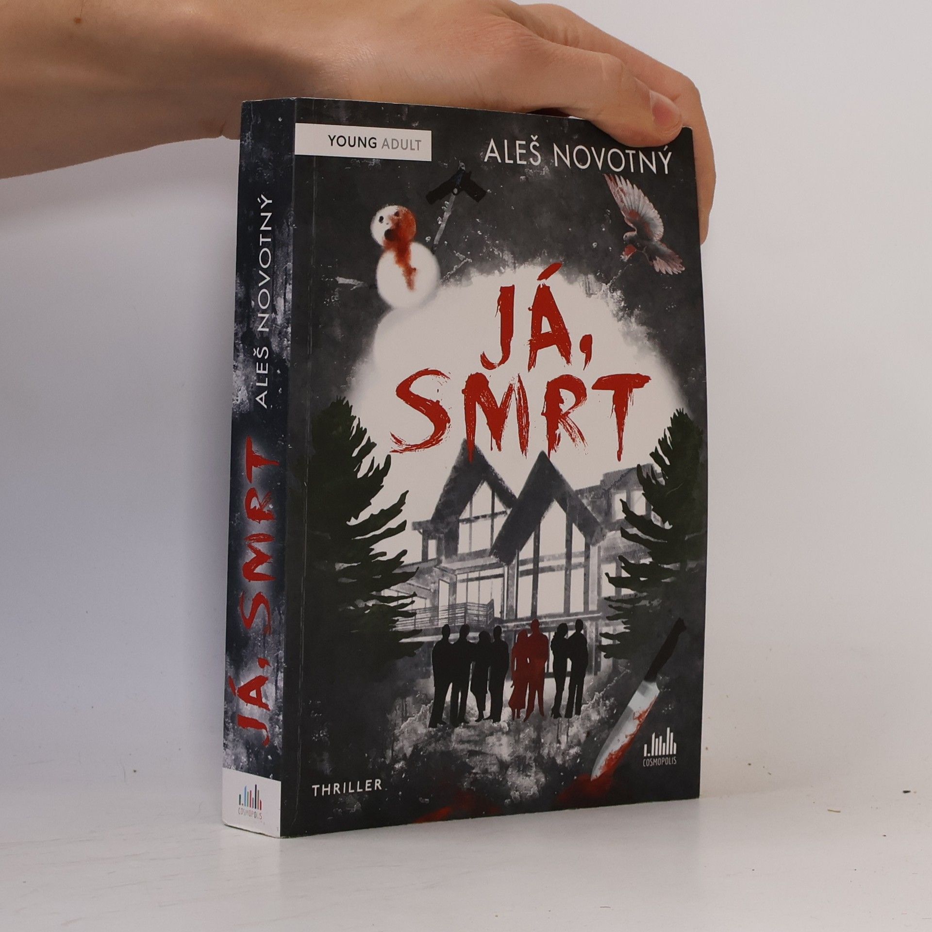 Aleš Novotný Já, Smrt