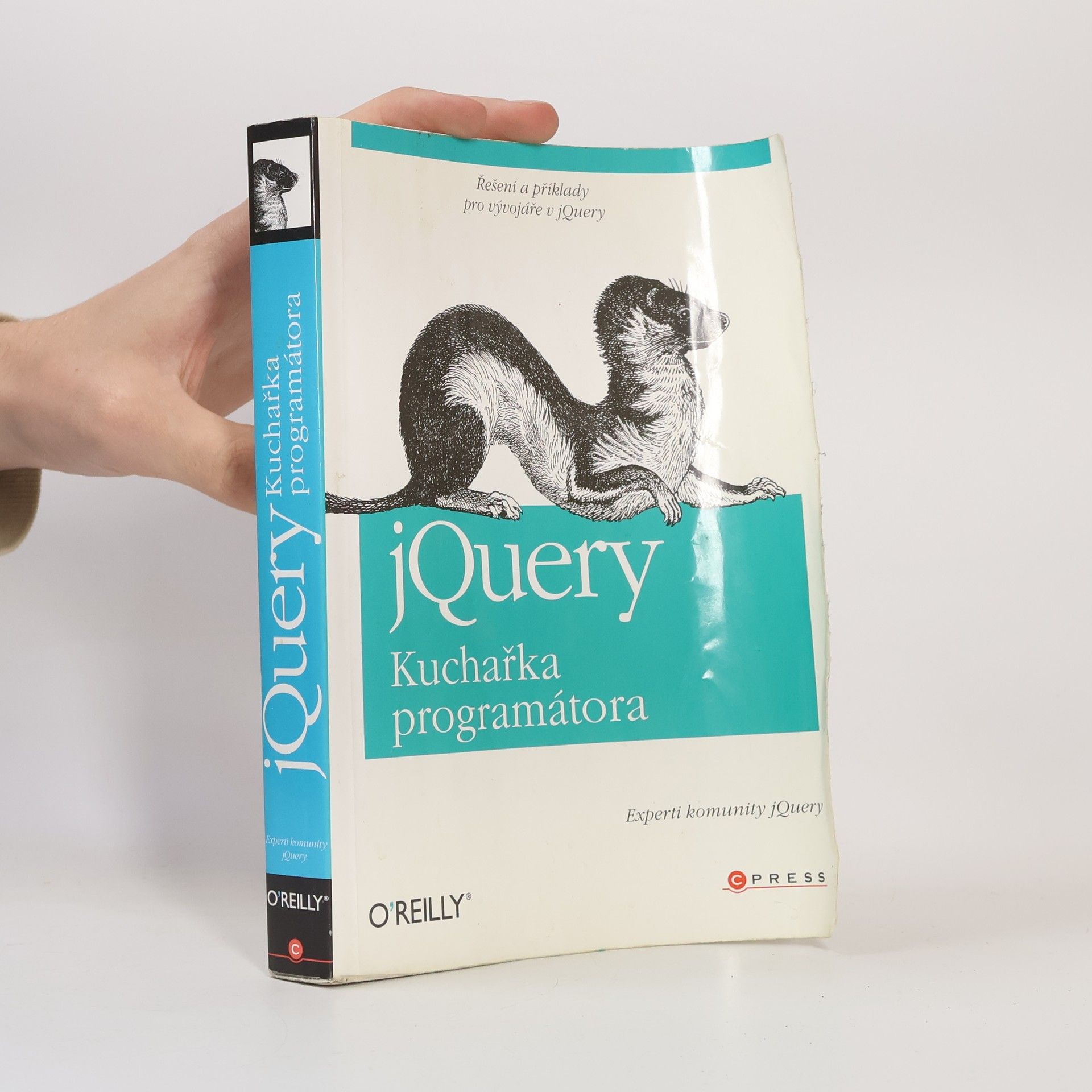 Autorenkollektiv jQuery - kuchařka programátora