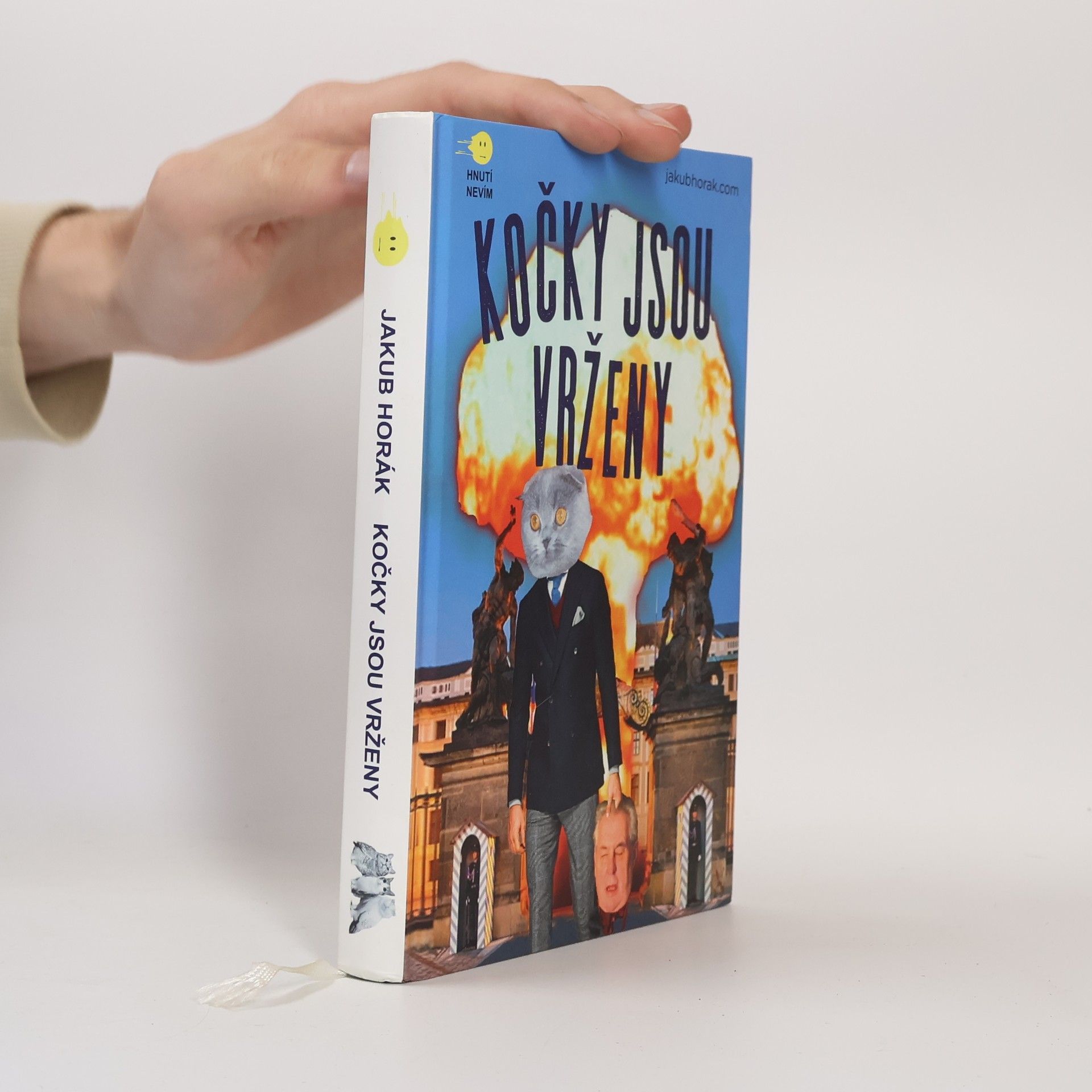 Jakub Horák Kočky jsou vrženy: Fantastický román