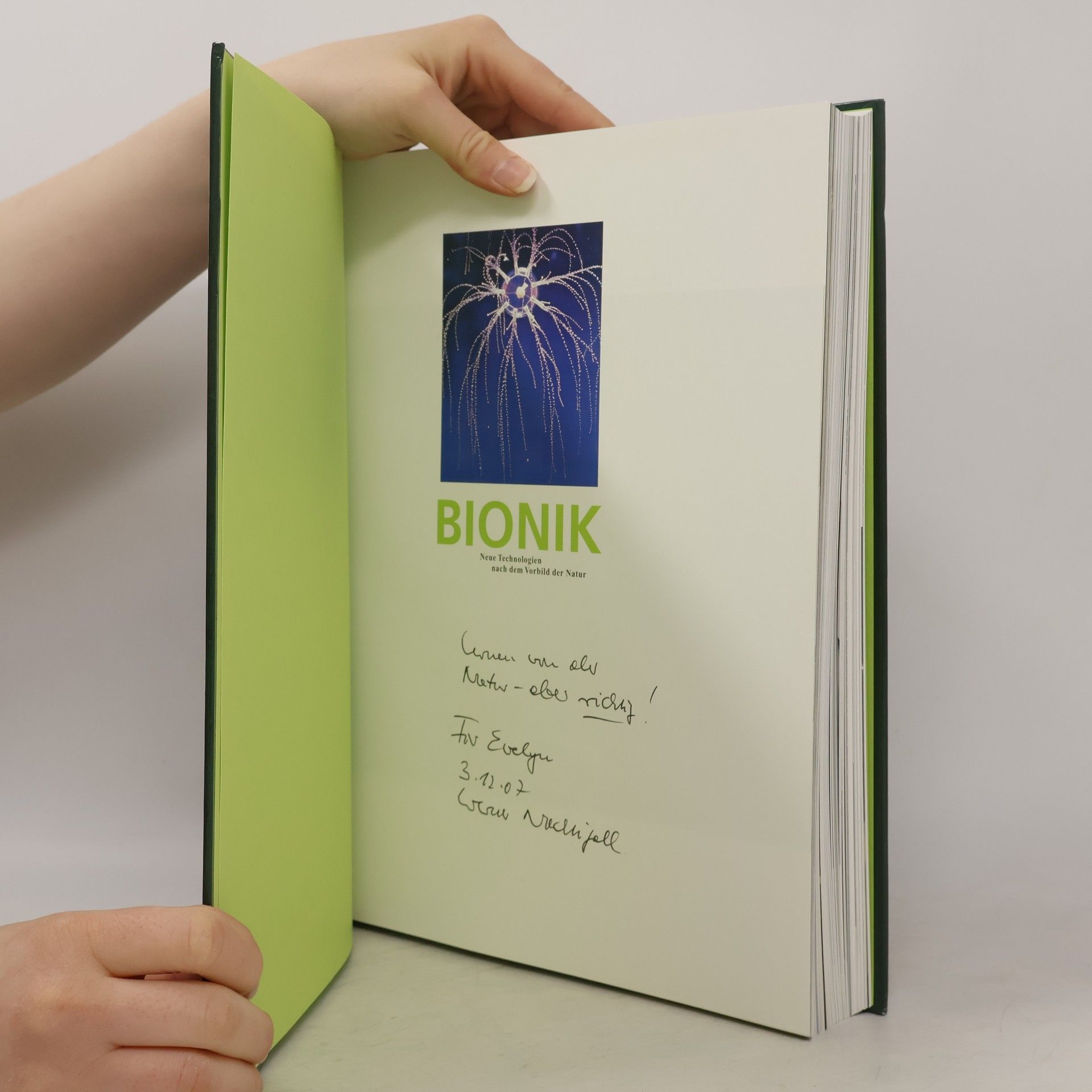 Werner Nachtigall Das große Buch der Bionik